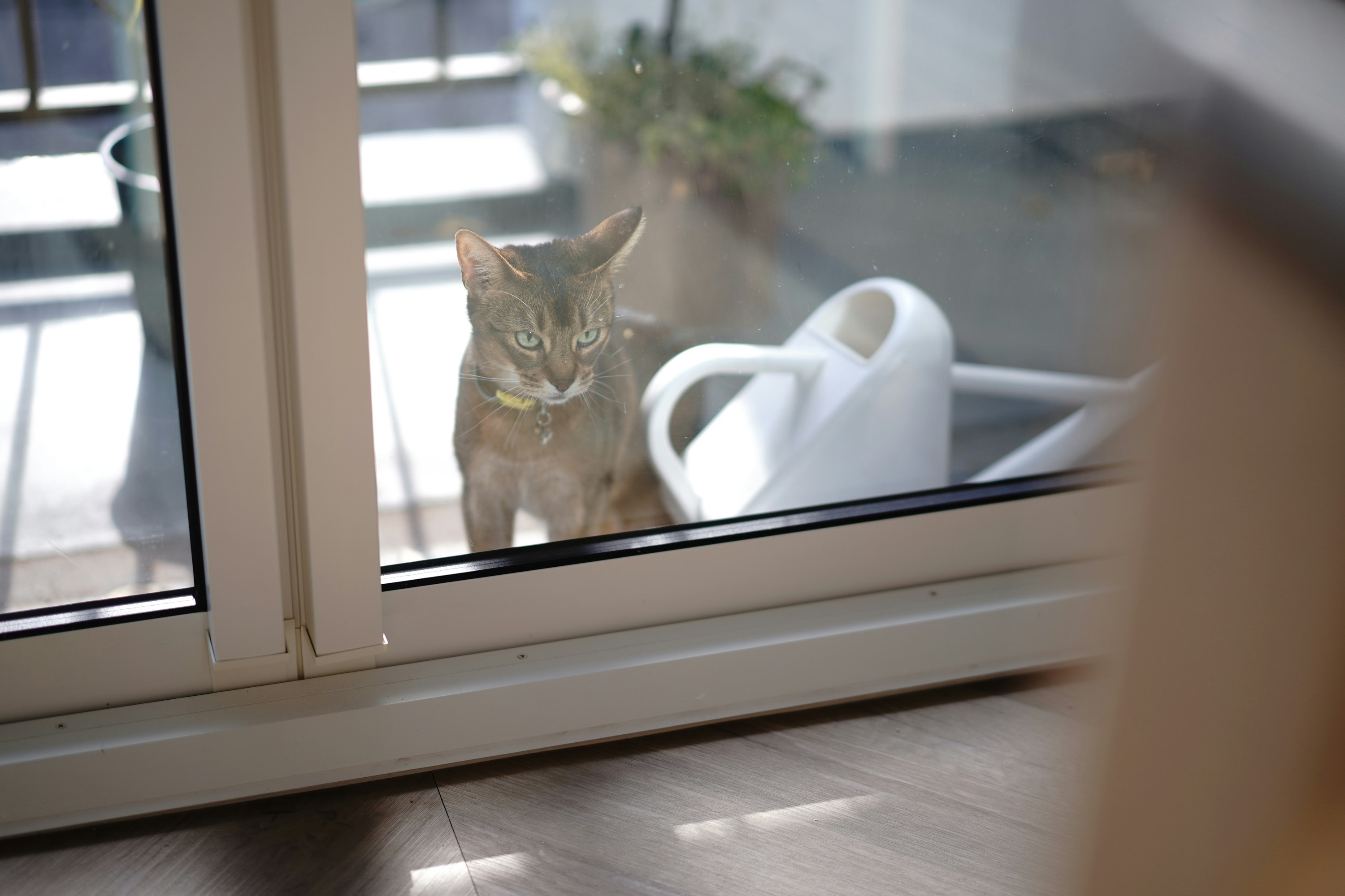 Photo by terracotta215