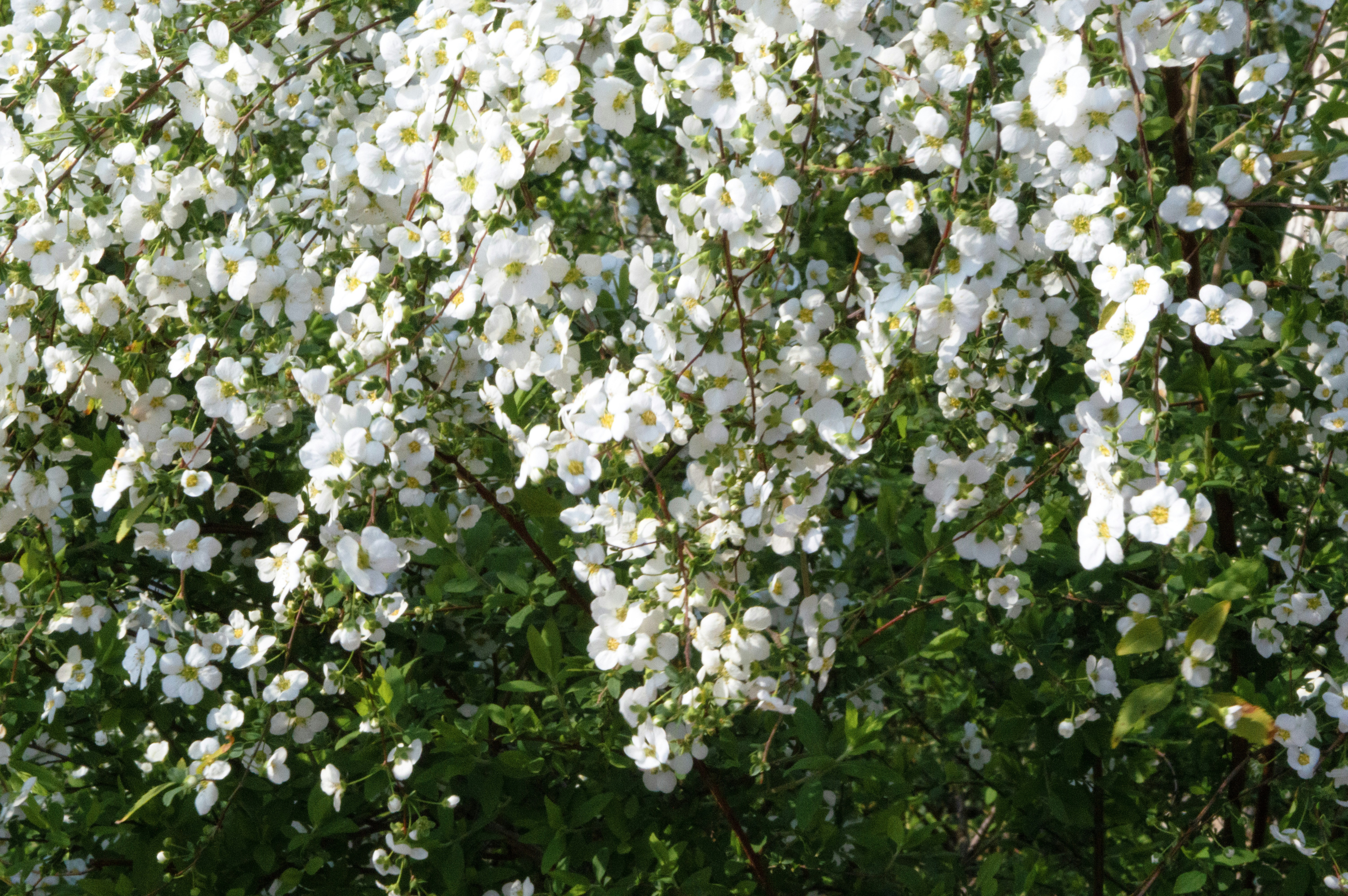 Photo by xiakuangkuang