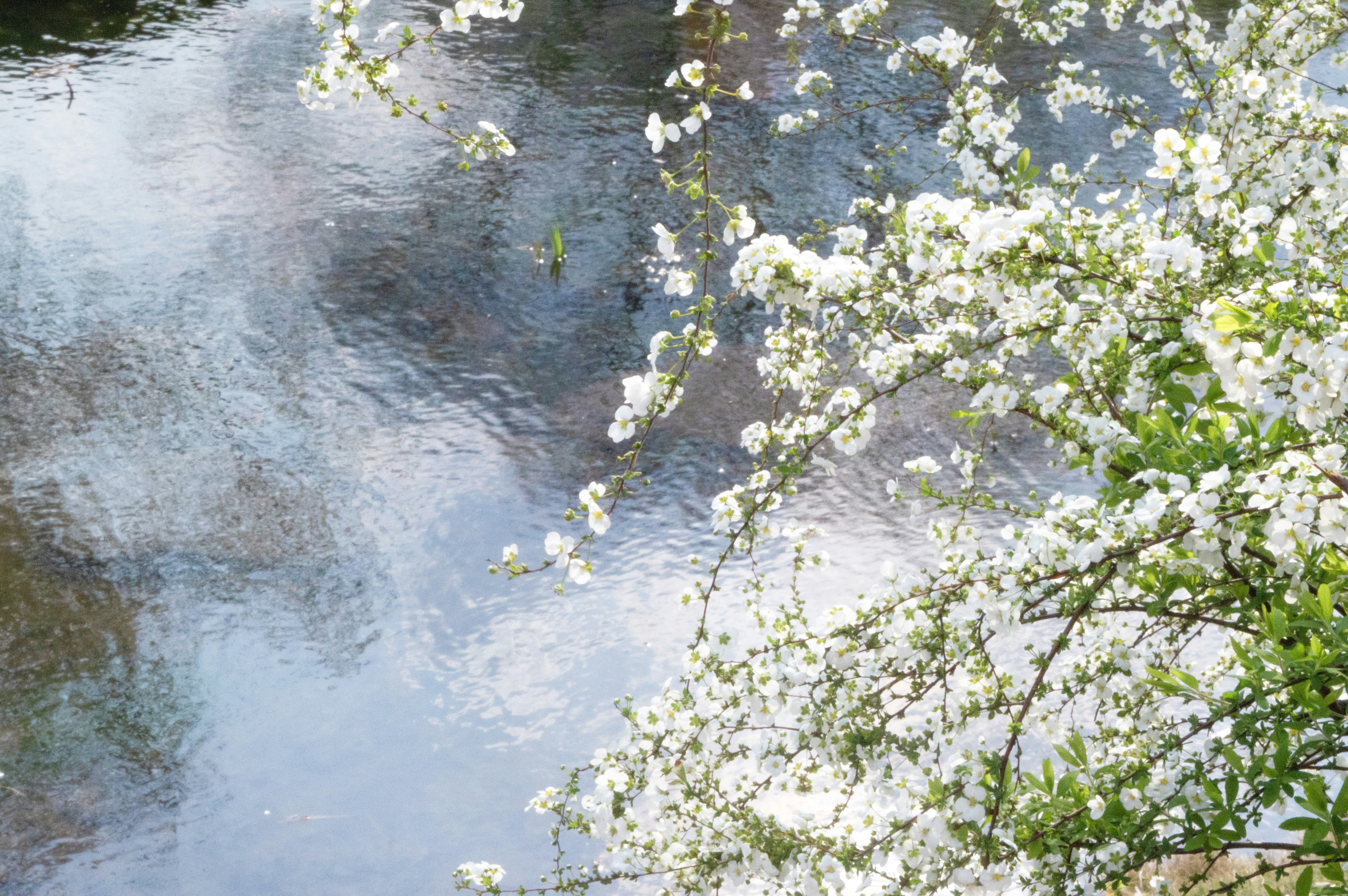 Photo by xiakuangkuang