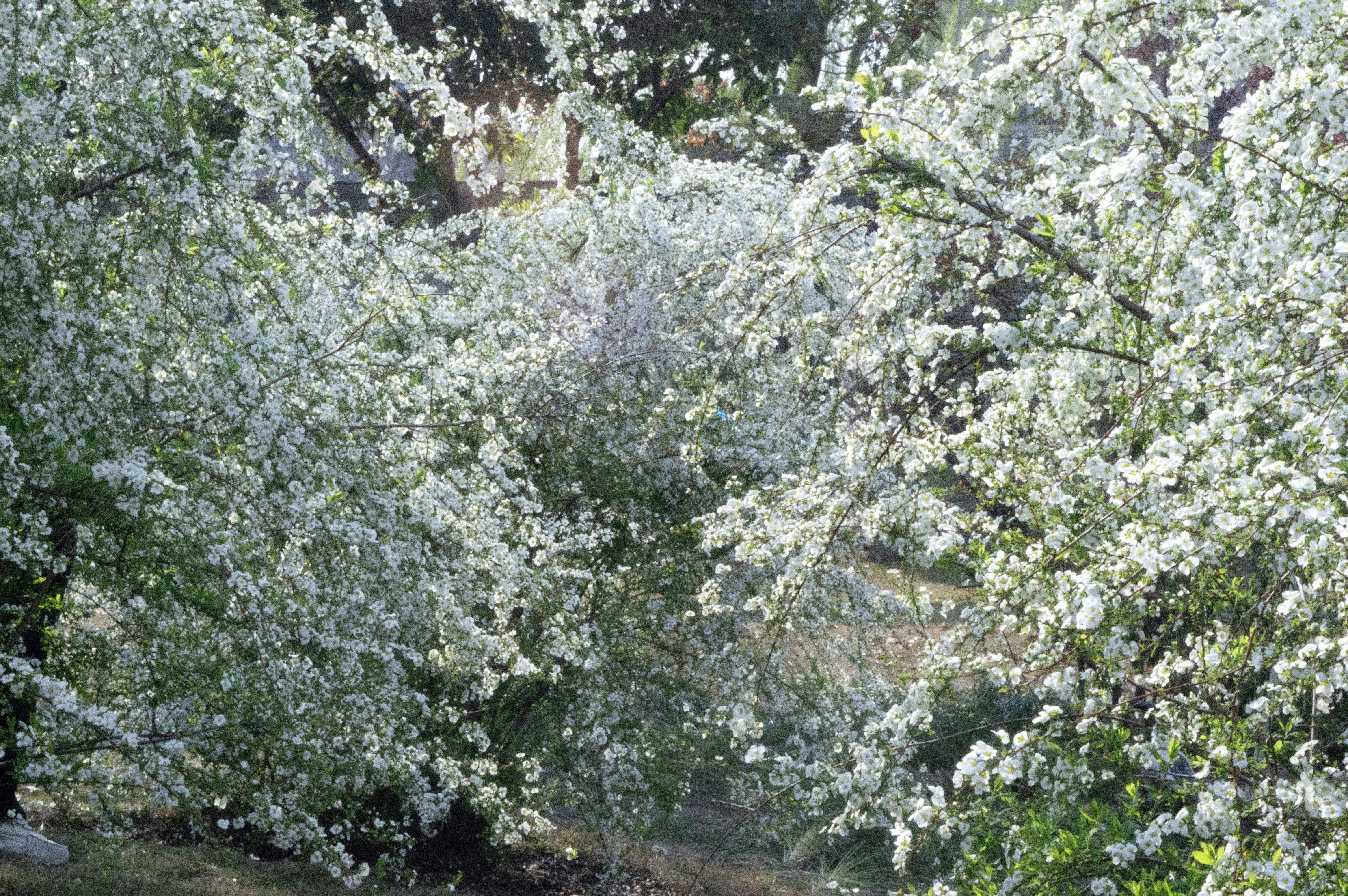 Photo by xiakuangkuang