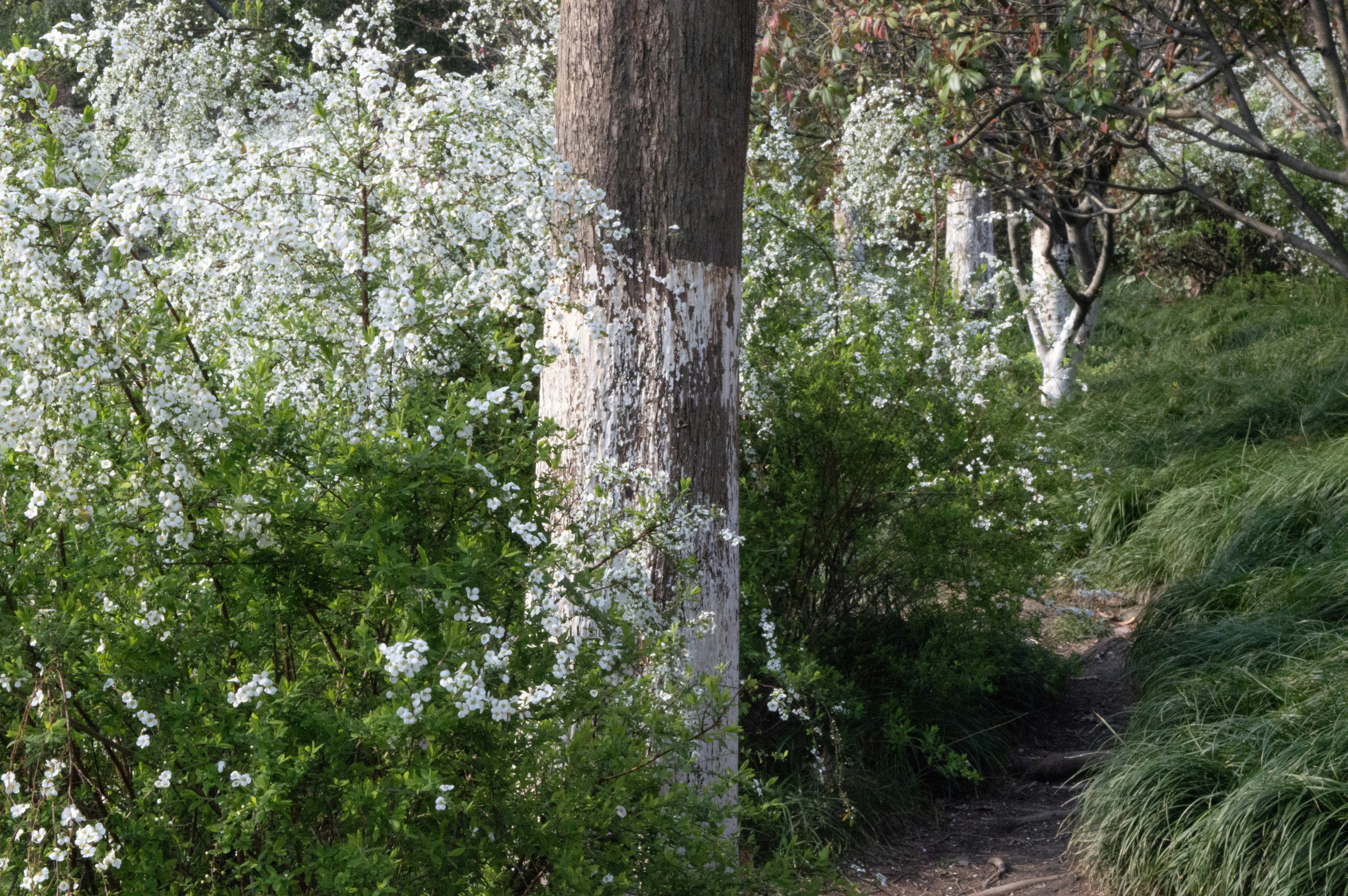 Photo by xiakuangkuang