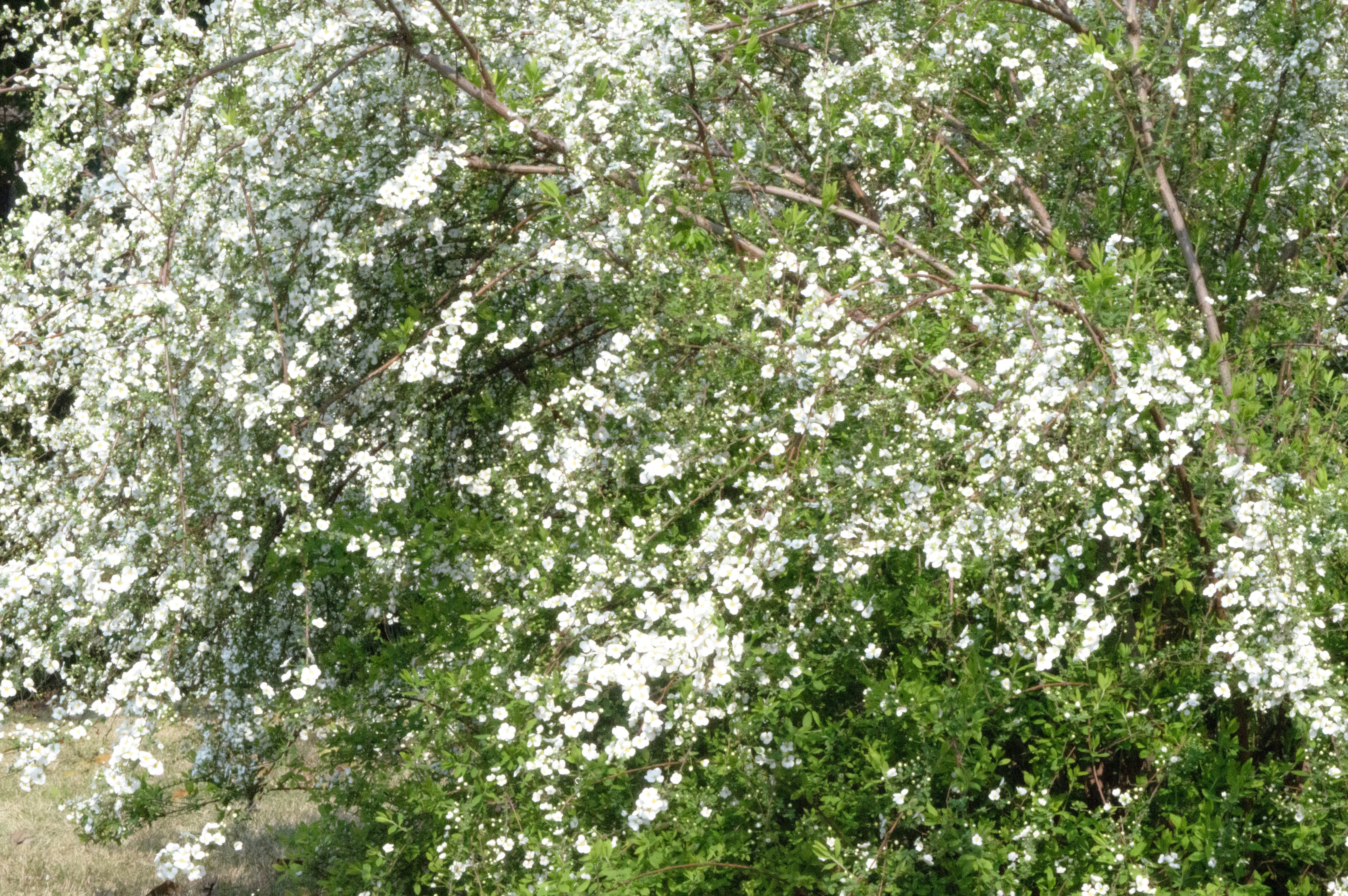 Photo by xiakuangkuang