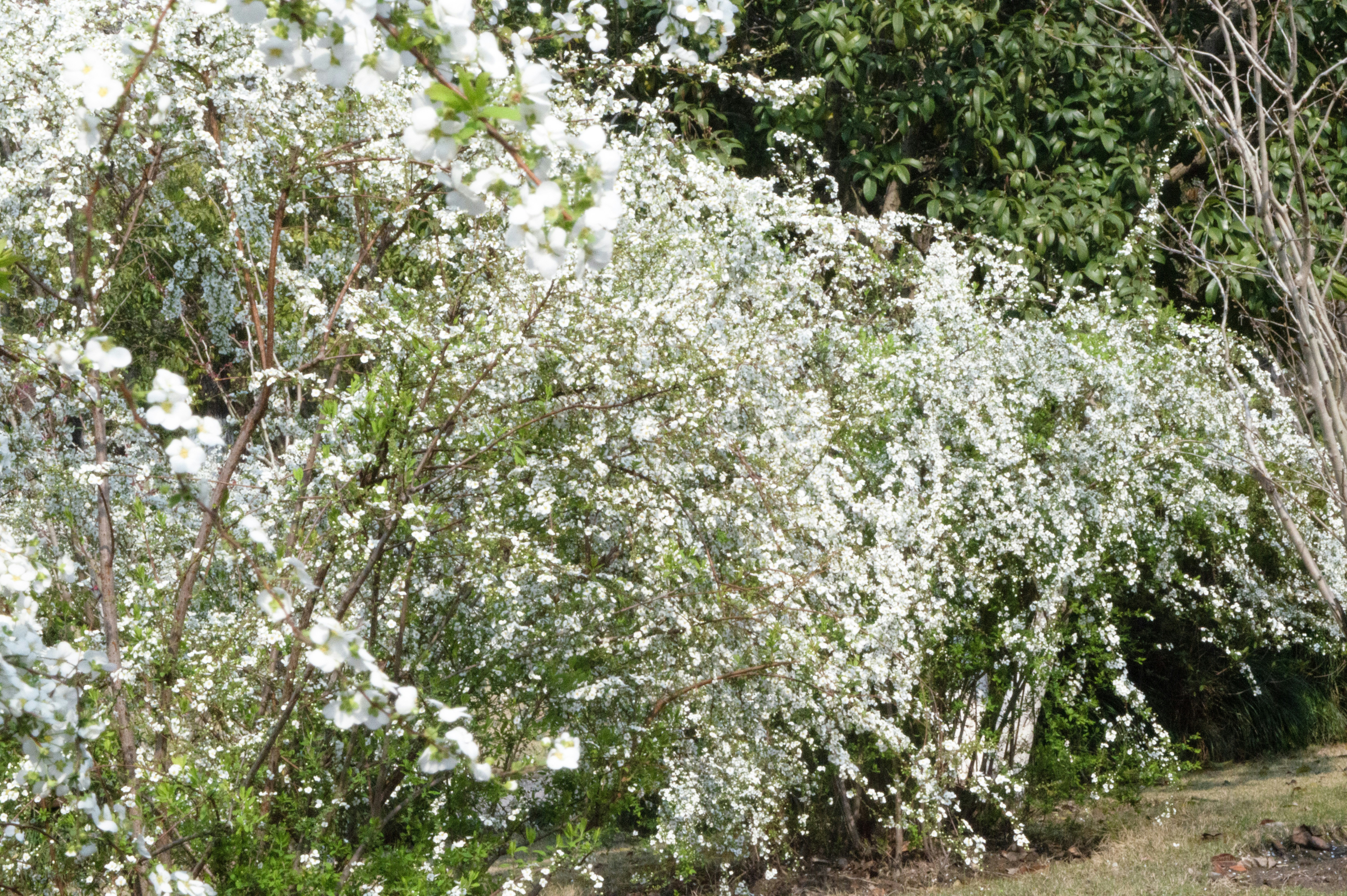 Photo by xiakuangkuang