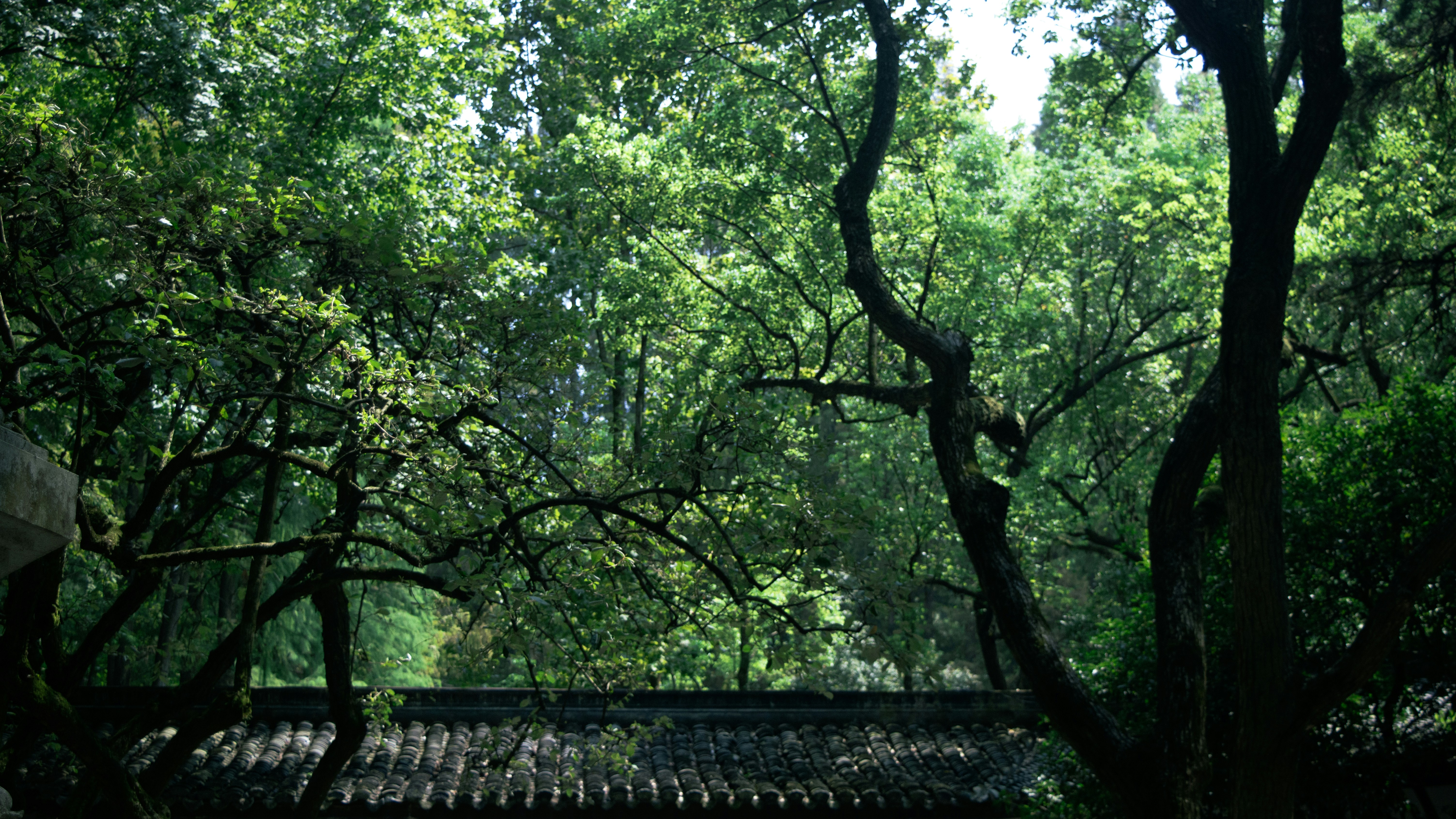 Photo by xiakuangkuang