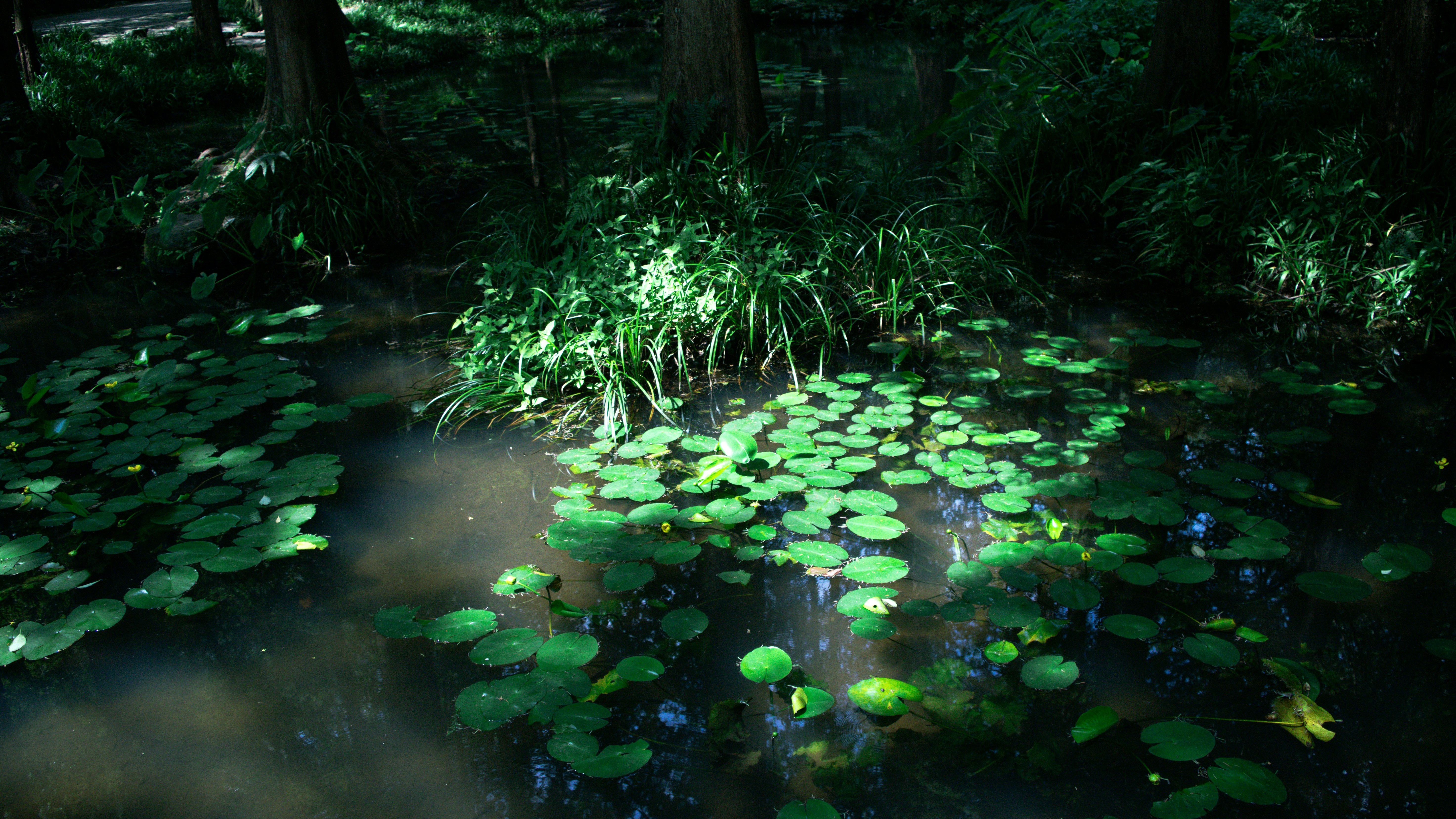 Photo by xiakuangkuang