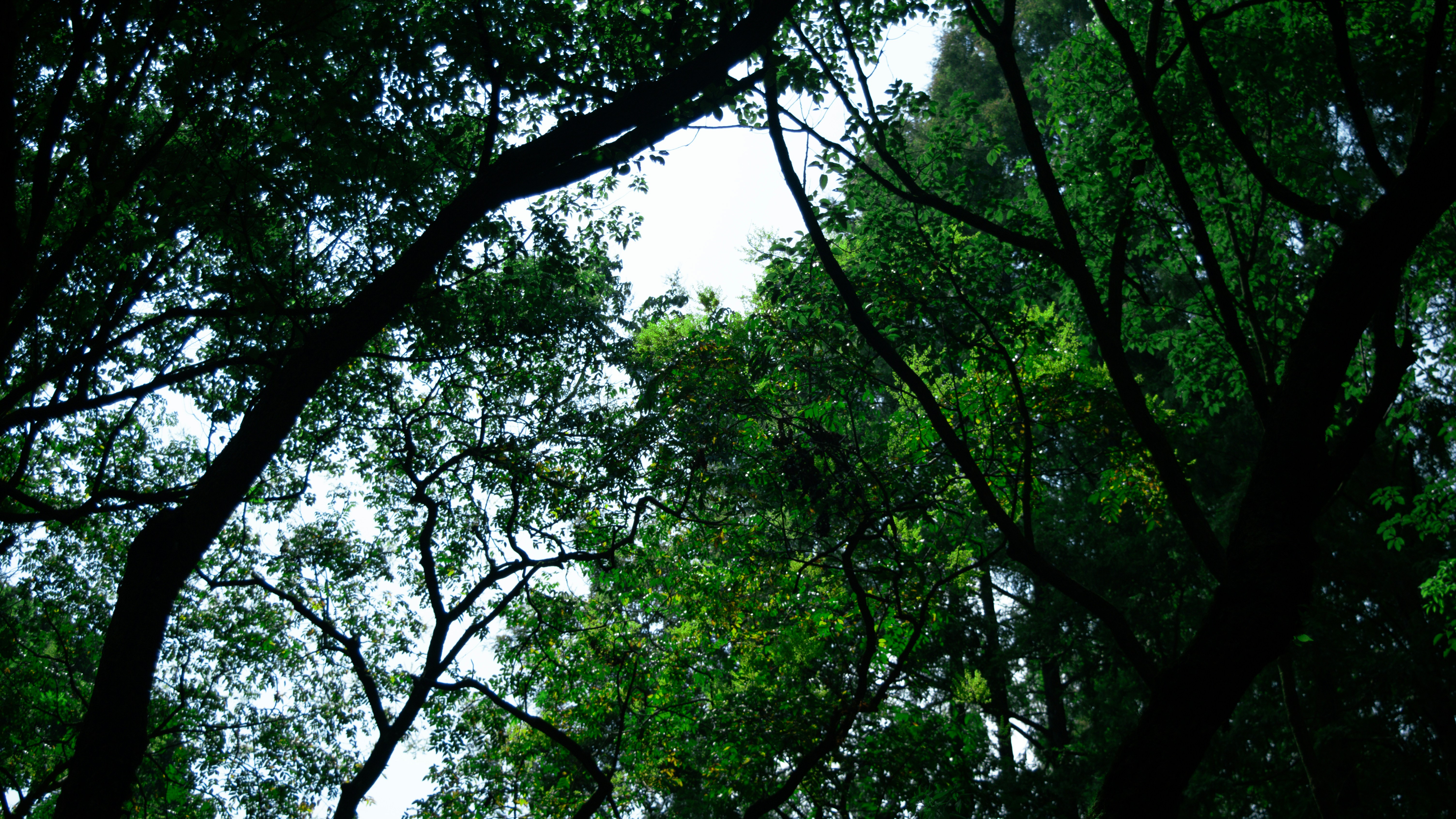 Photo by xiakuangkuang