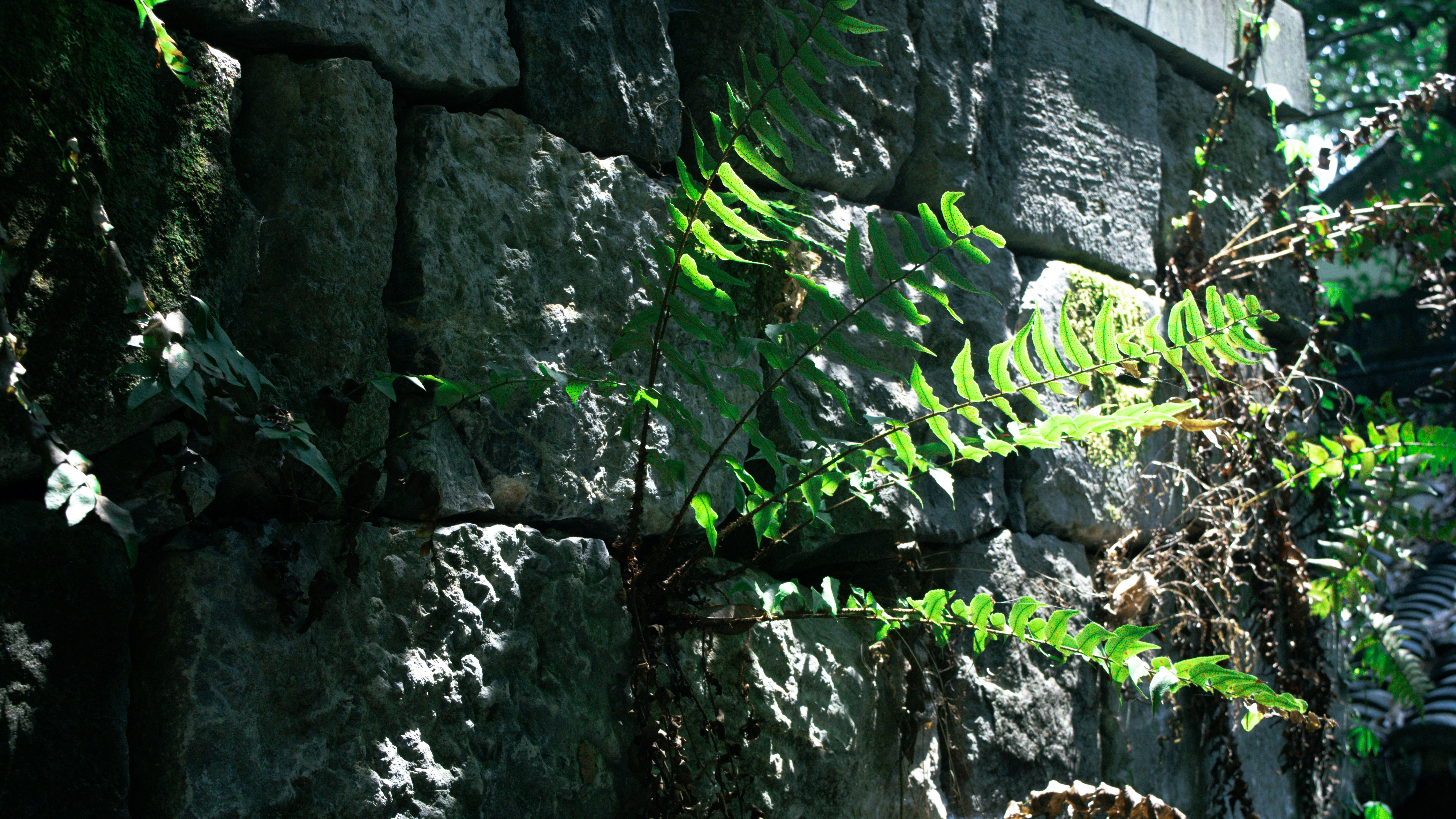 Photo by xiakuangkuang