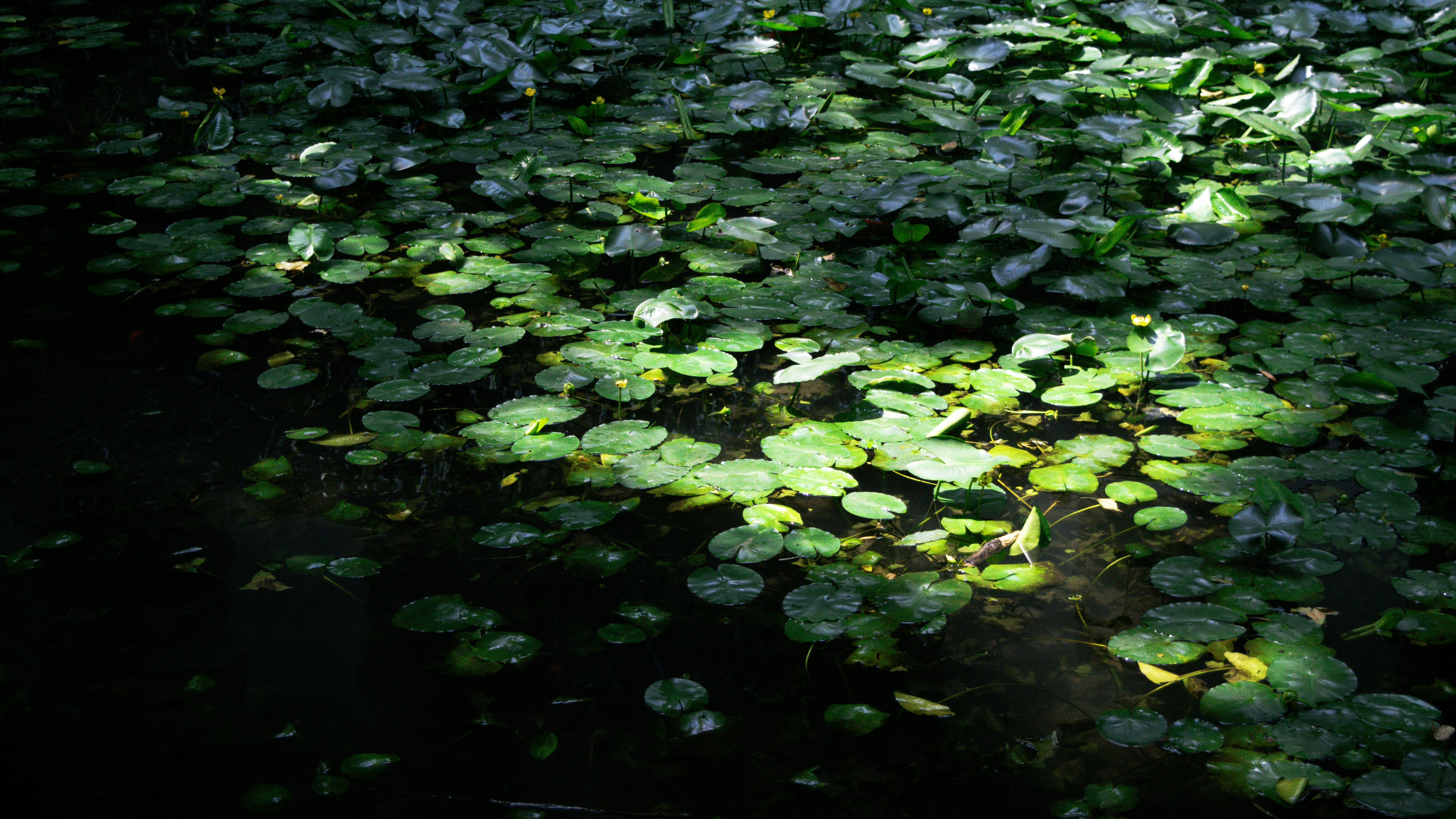 Photo by xiakuangkuang