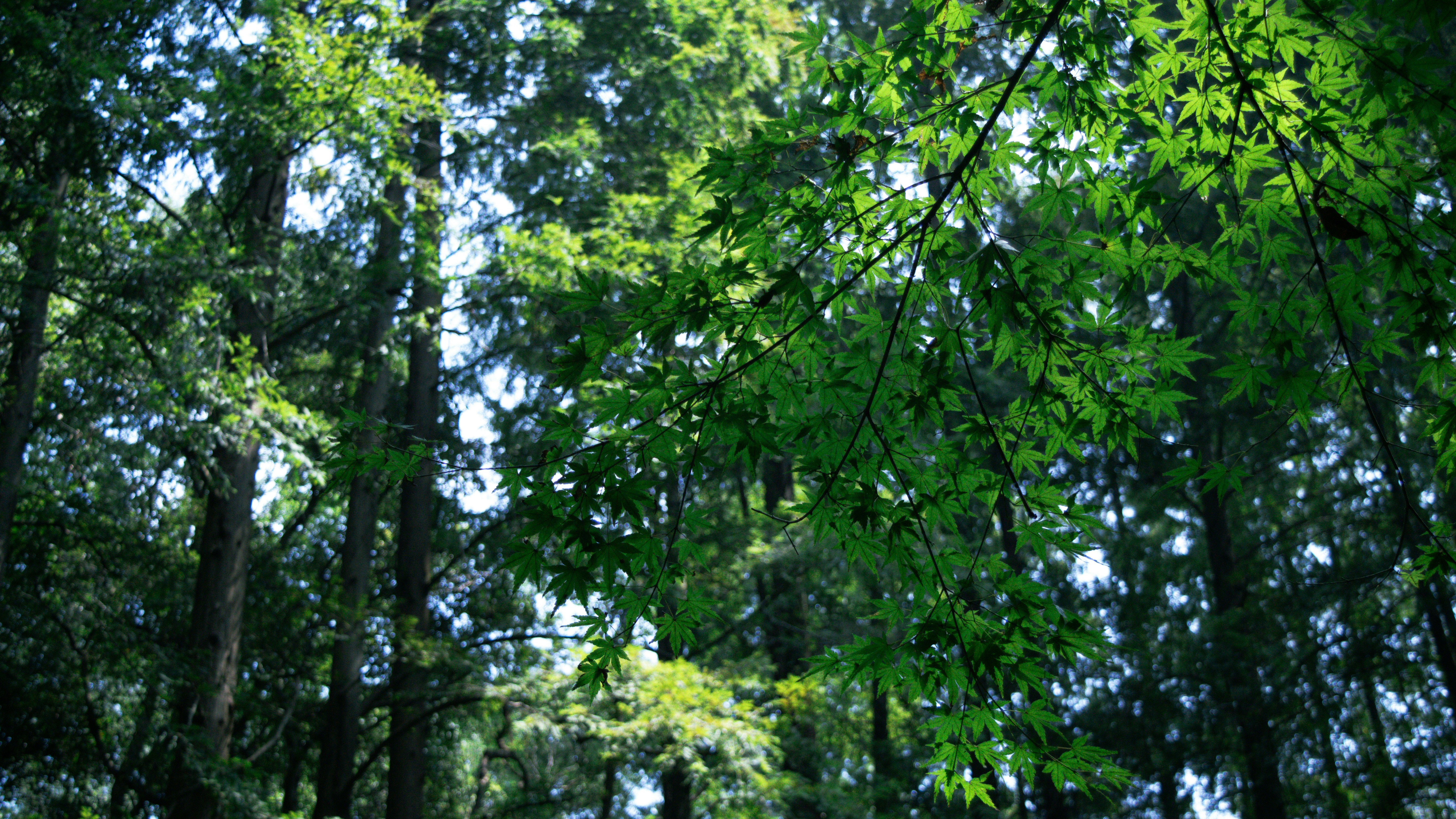 Photo by xiakuangkuang