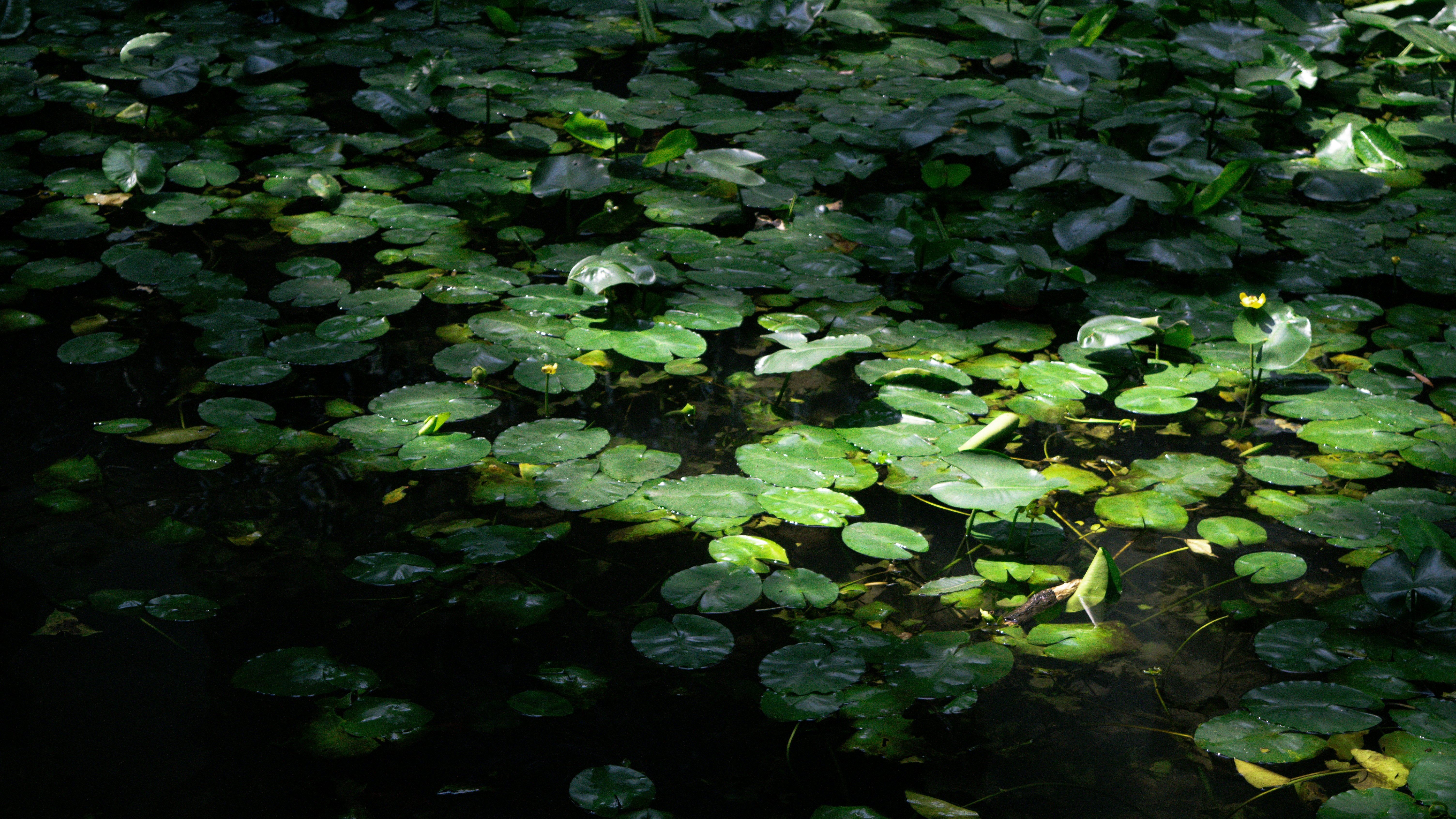 Photo by xiakuangkuang