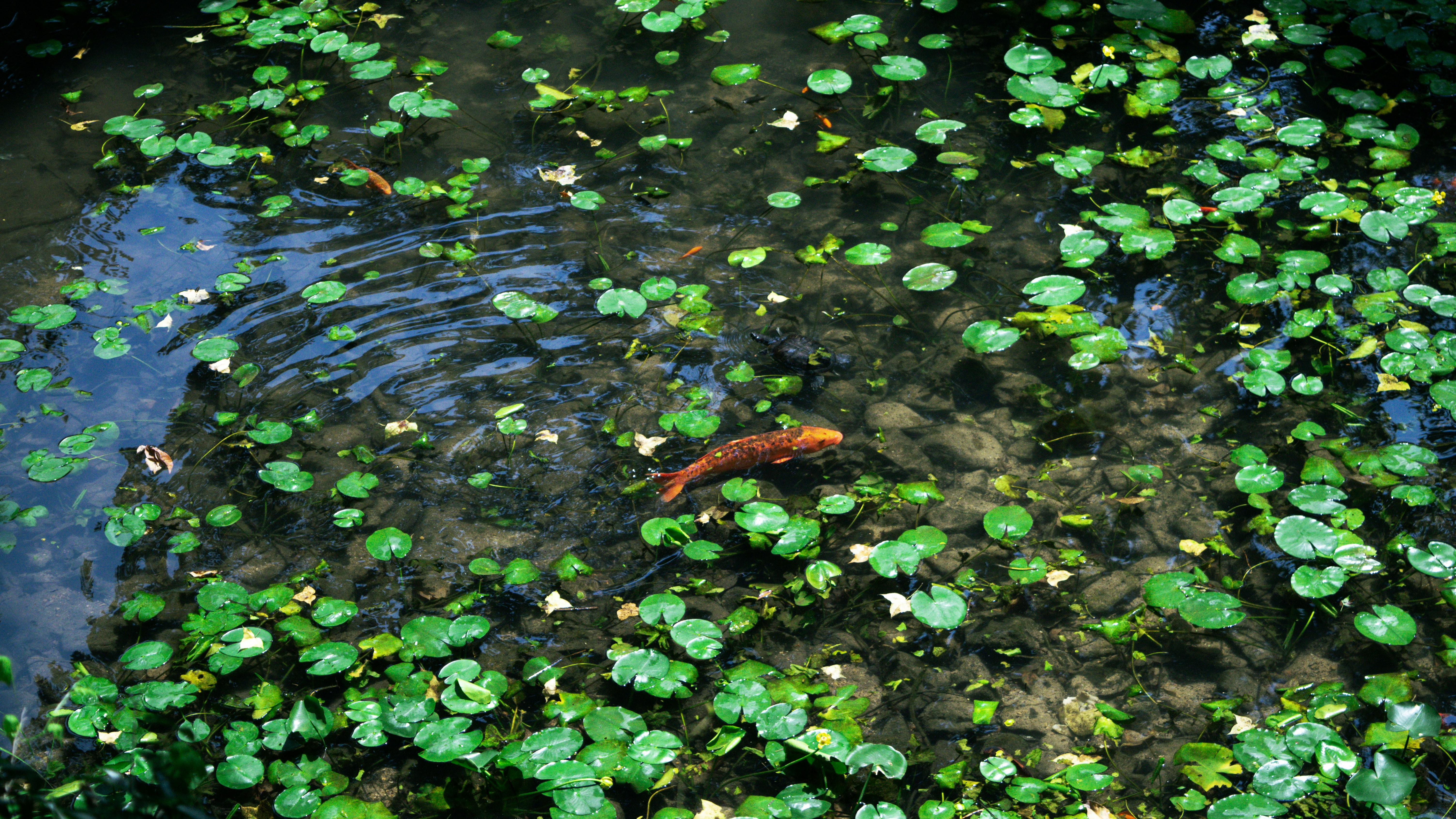 Photo by xiakuangkuang