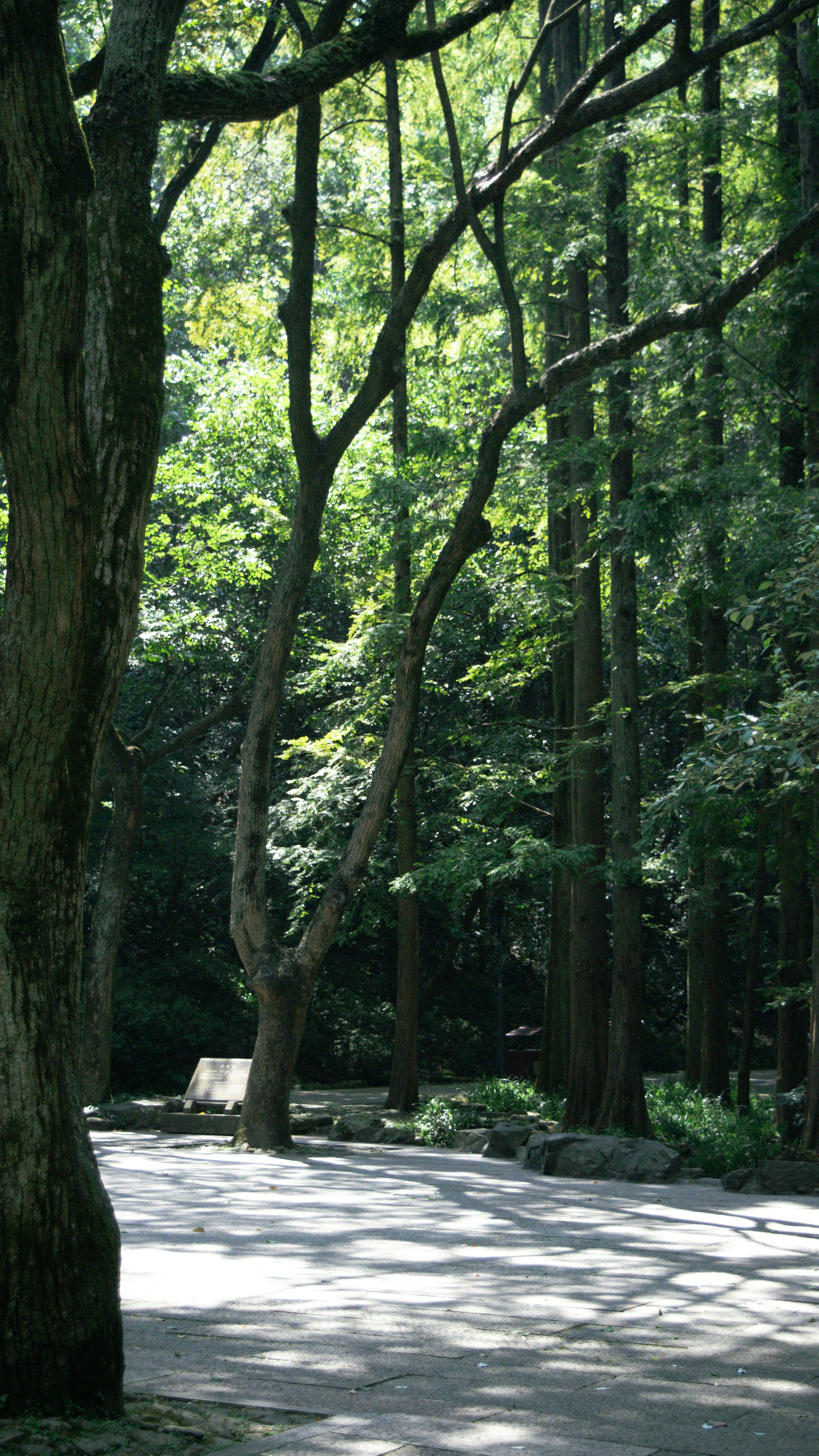 Photo by xiakuangkuang