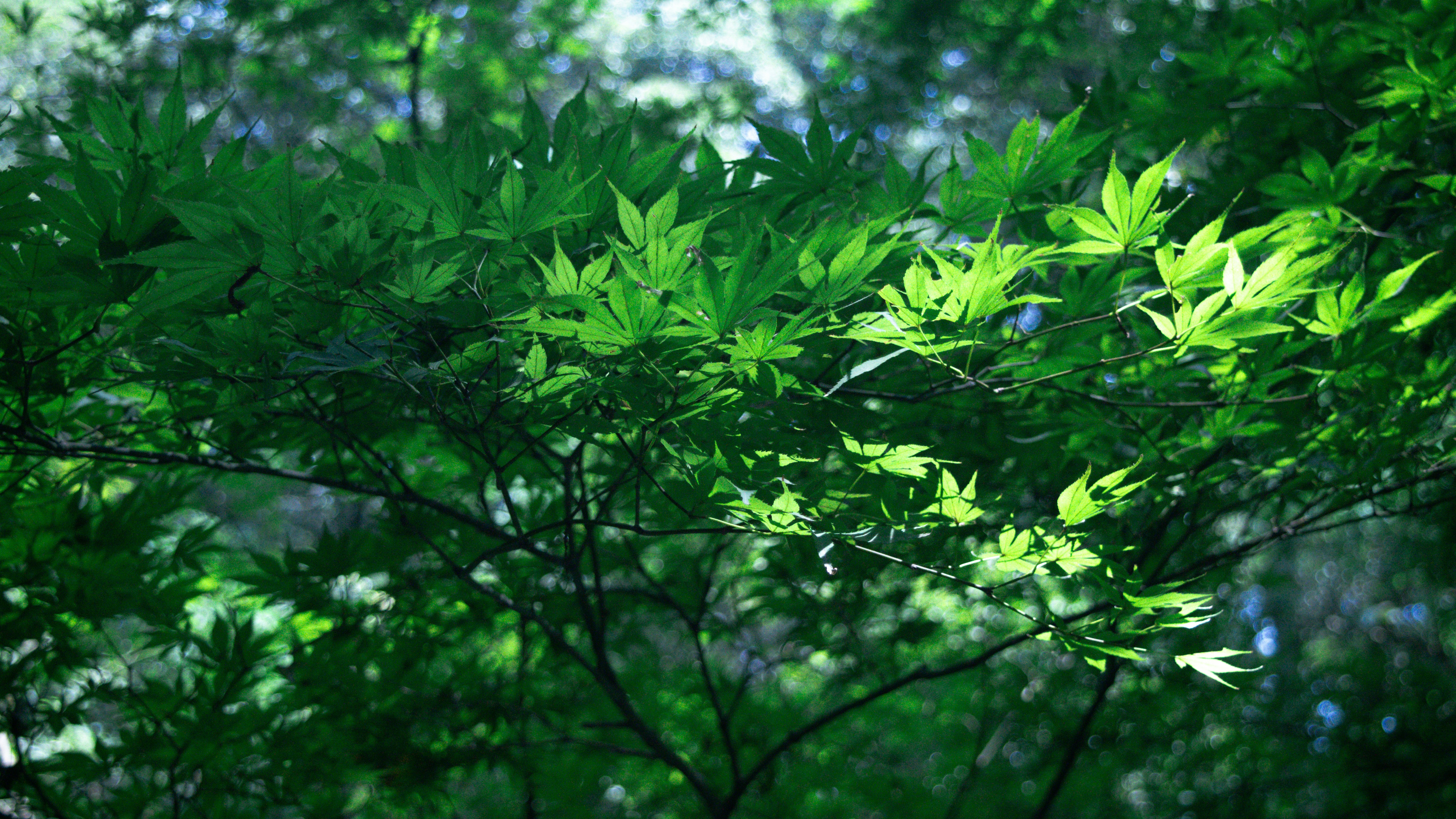 Photo by xiakuangkuang