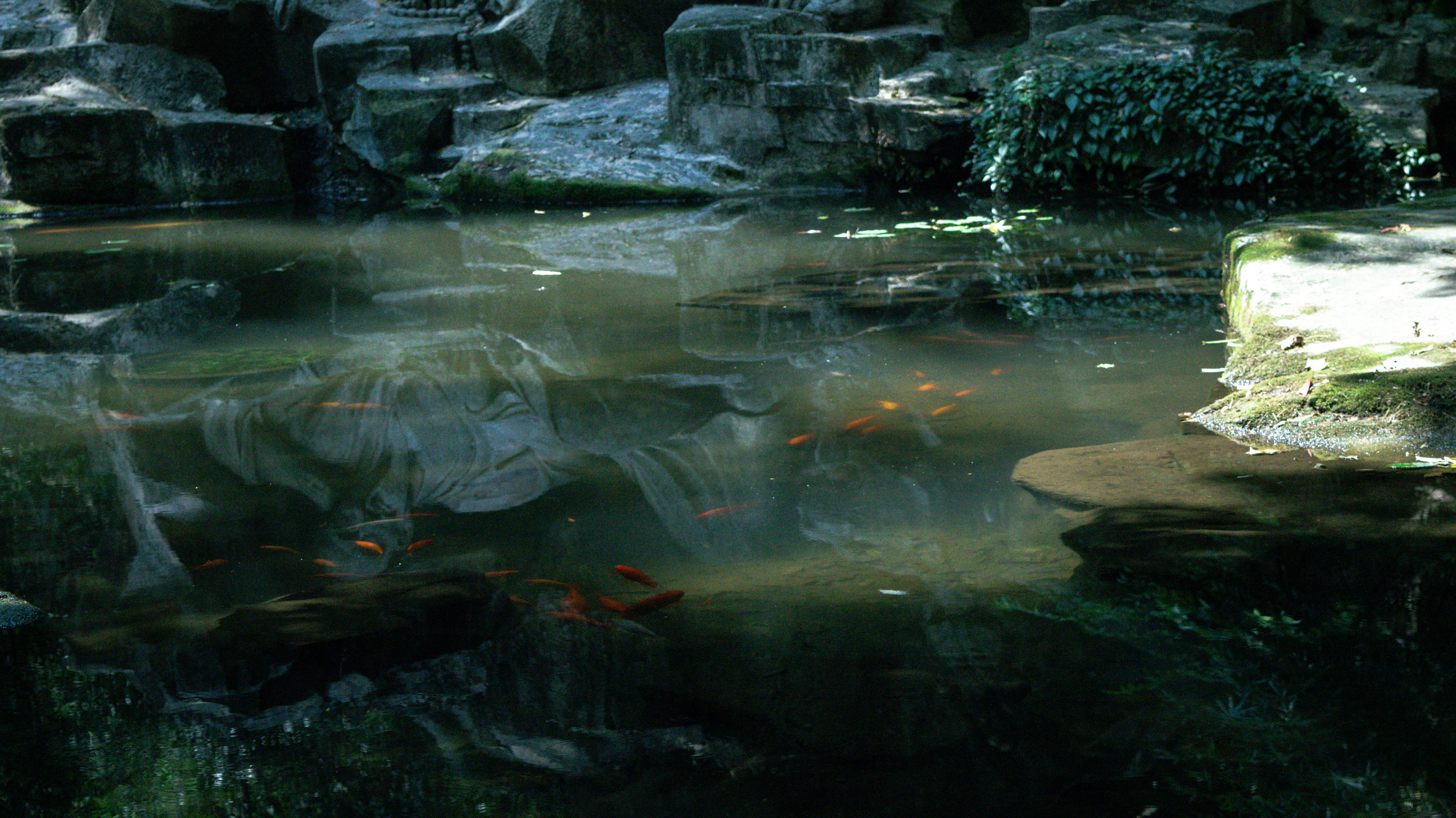 Photo by xiakuangkuang