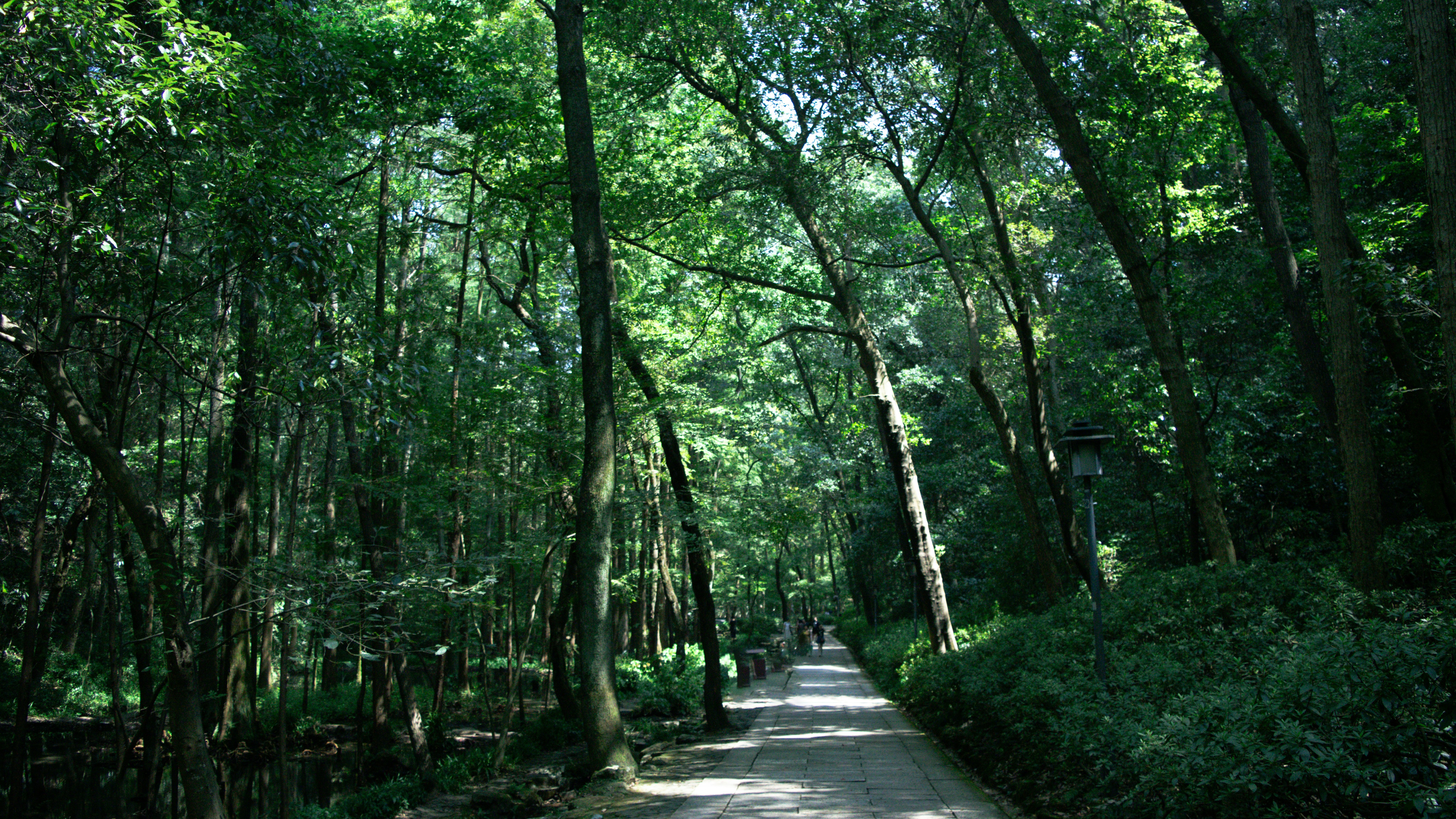 Photo by xiakuangkuang