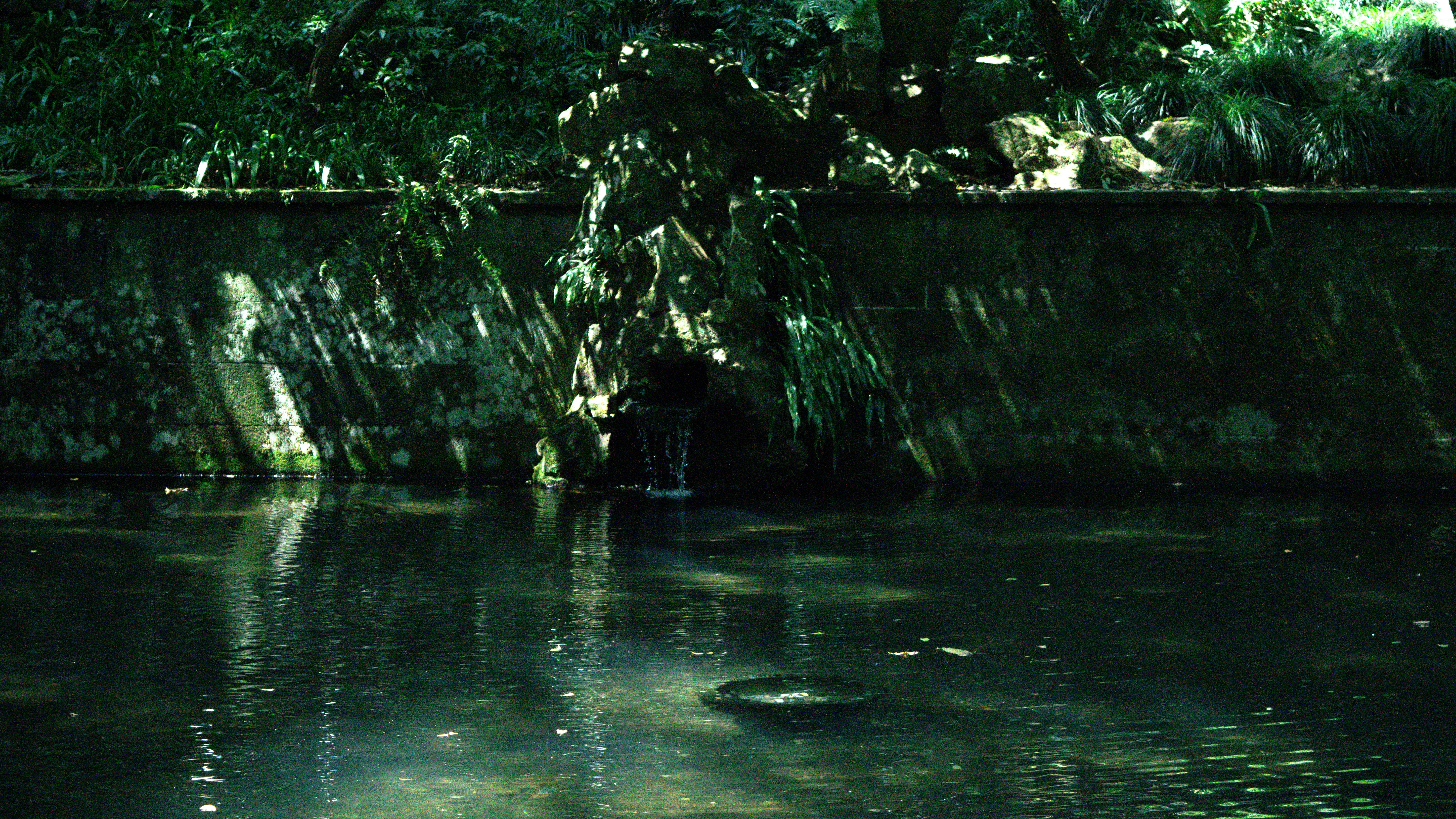 A person stands in a dark, overgrown canal.