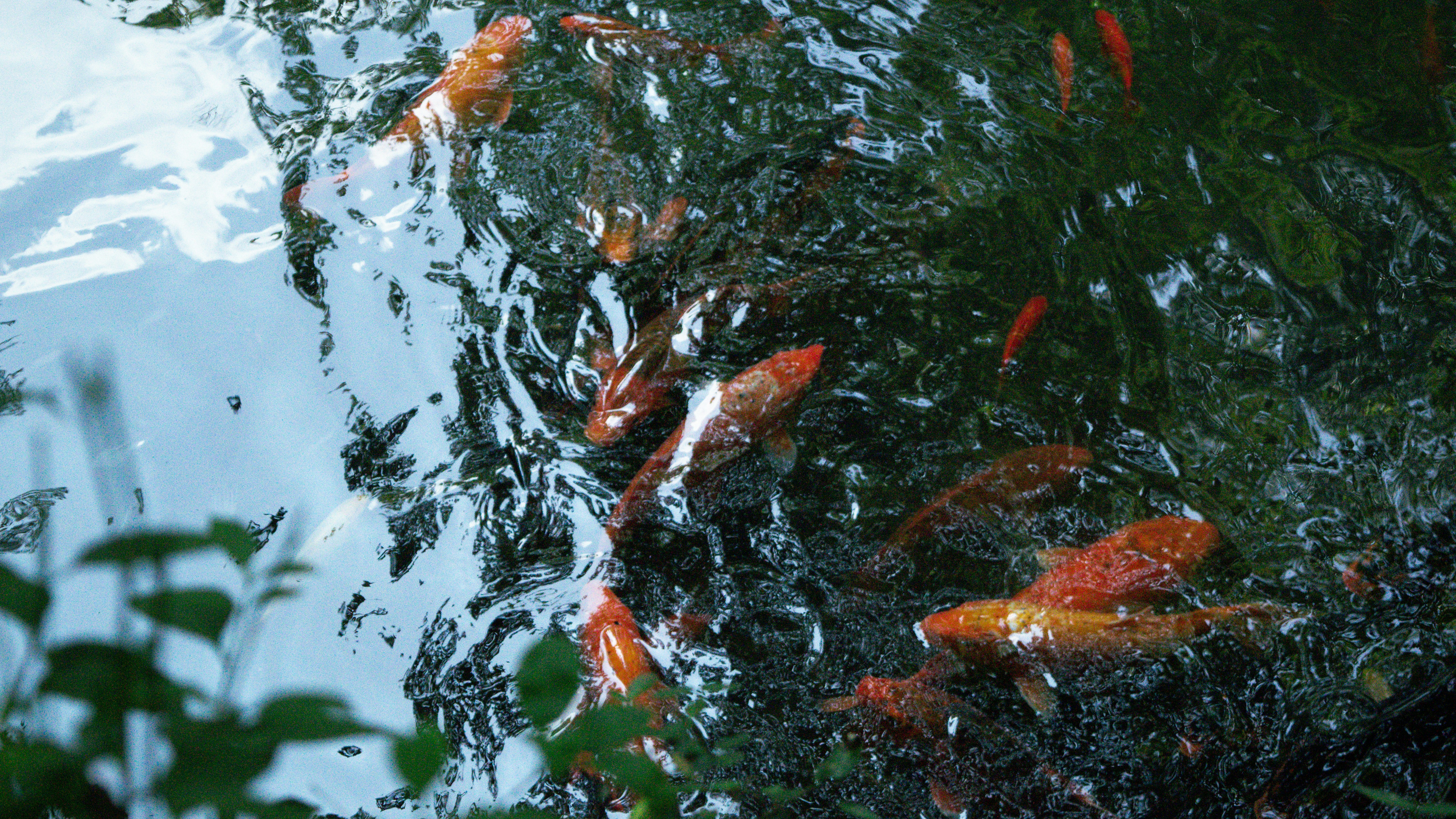 Photo by xiakuangkuang