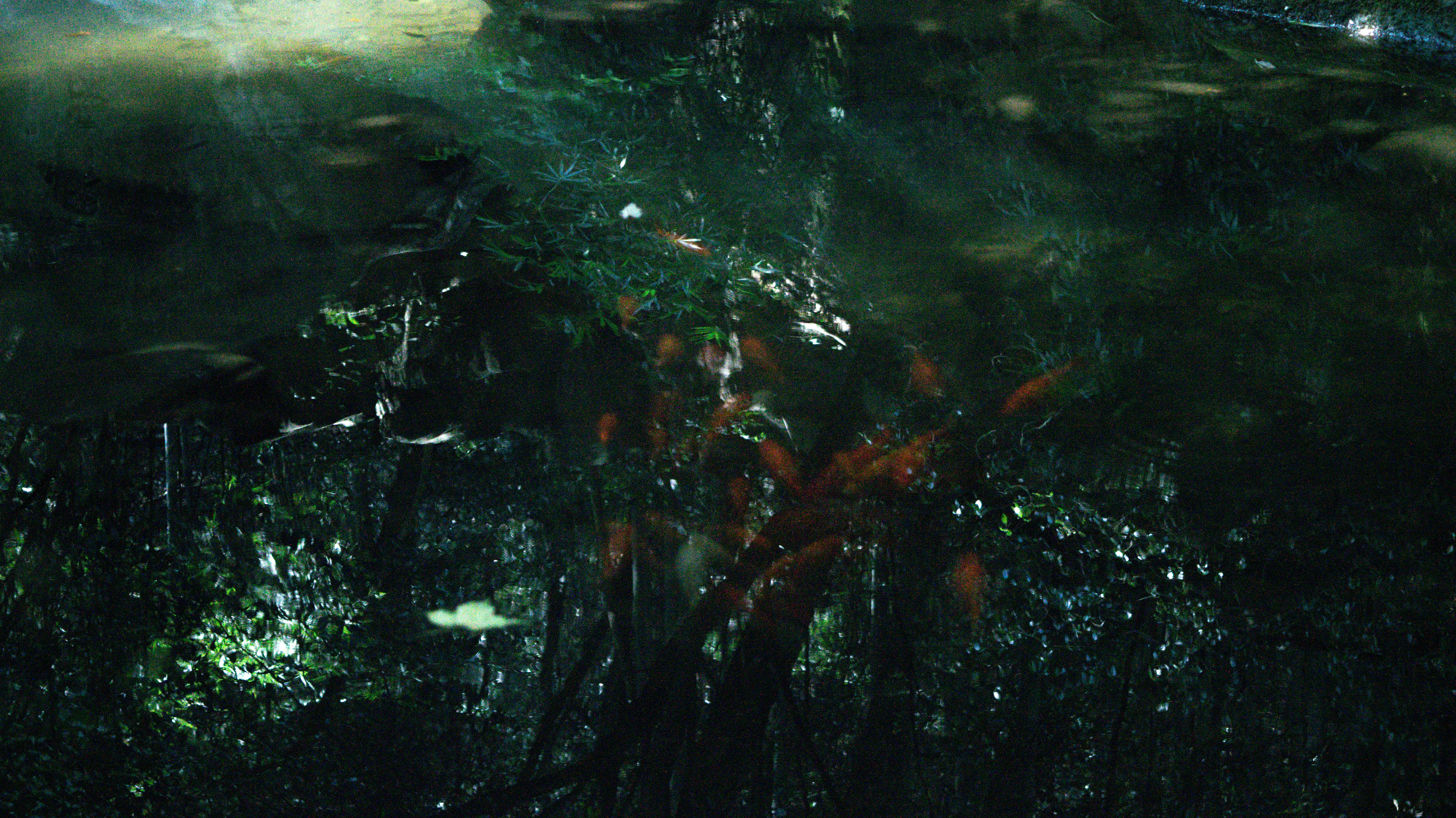 Photo by xiakuangkuang