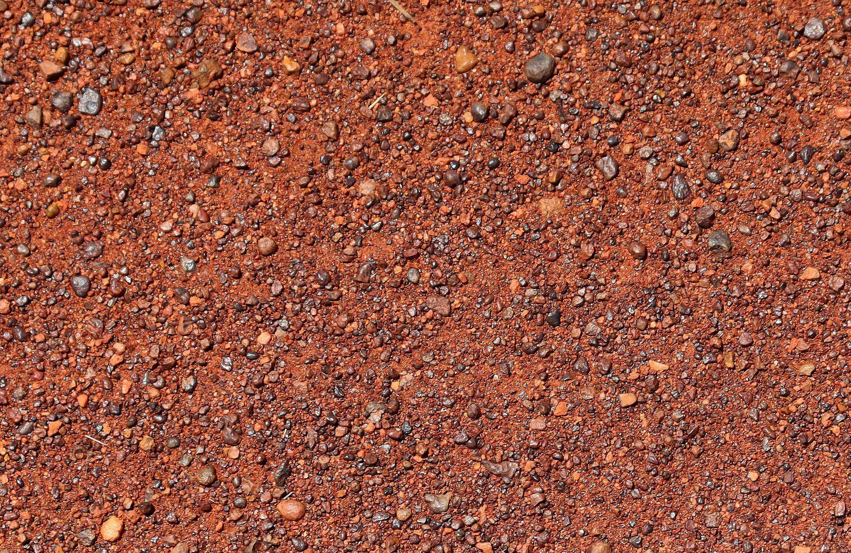 Photo by craigmanners_com