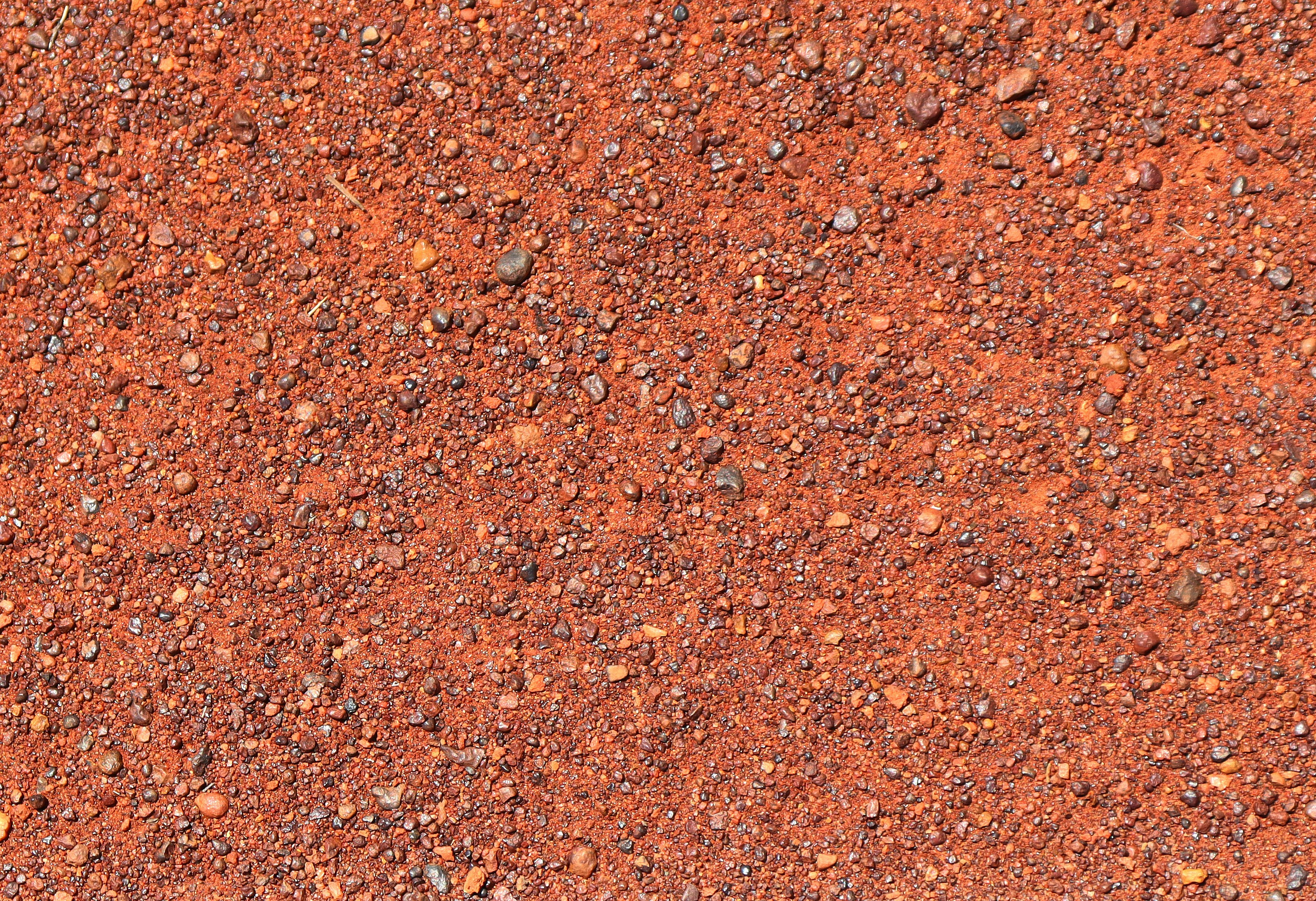 Photo by craigmanners_com