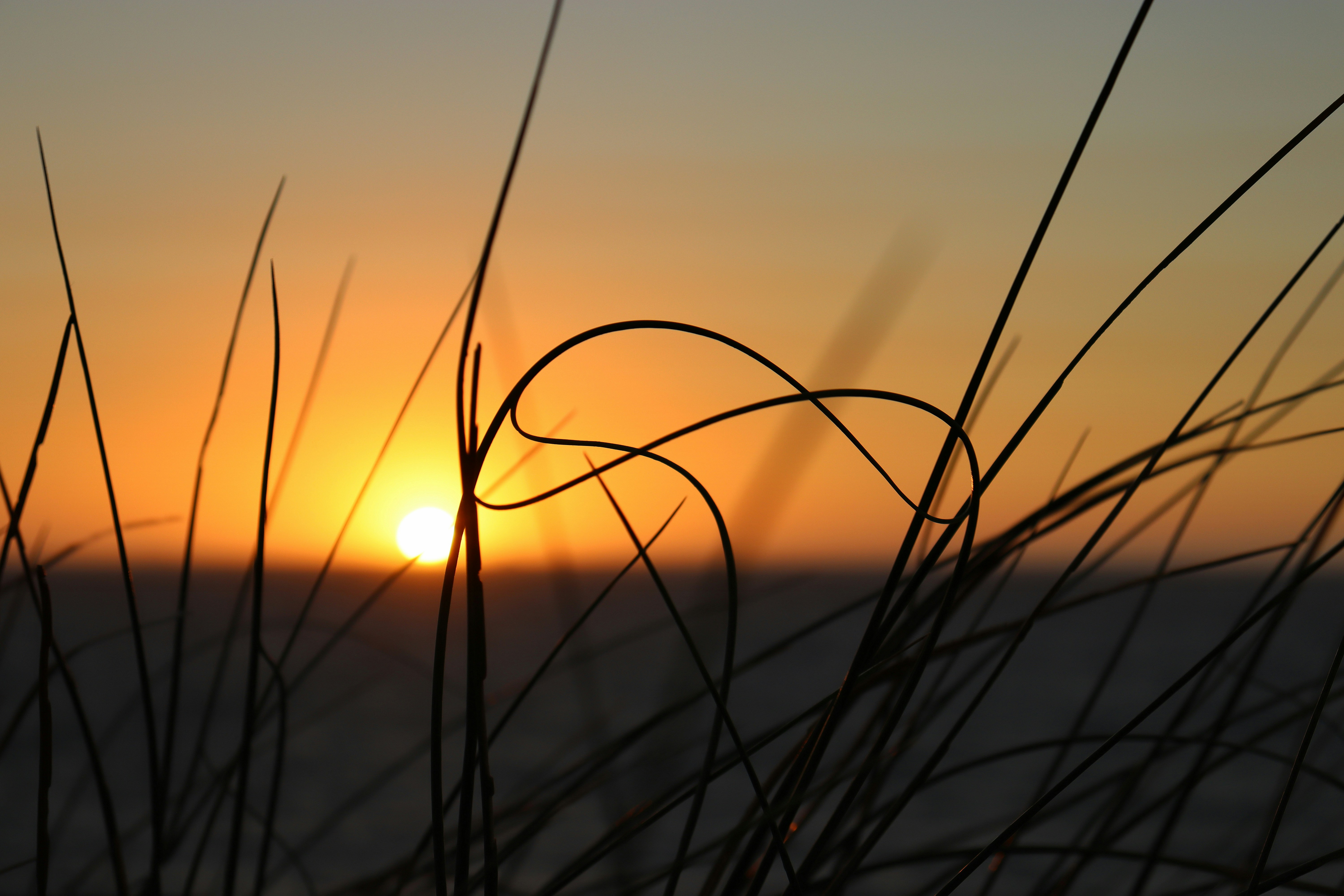 Photo by craigmanners_com