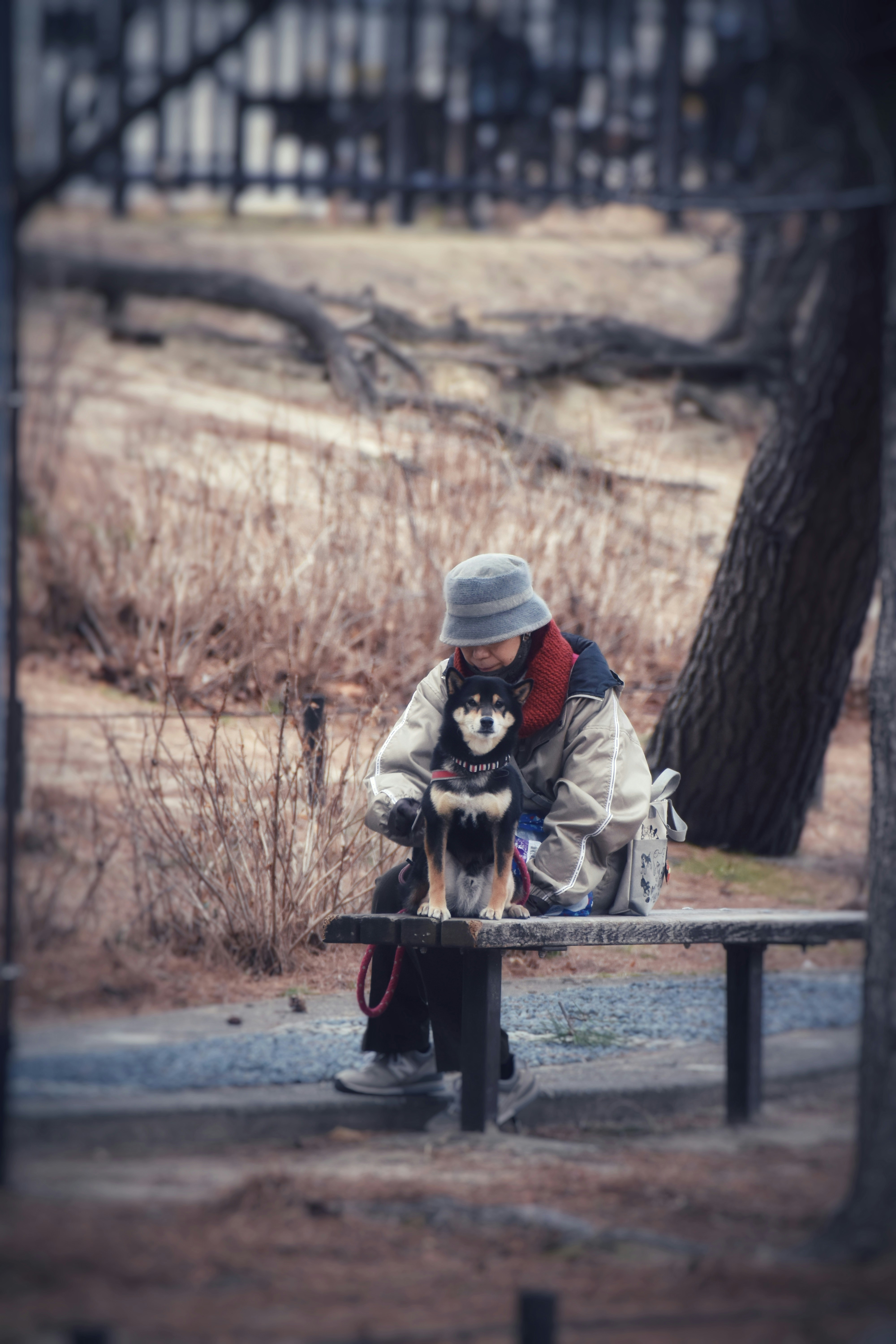 Pessoa e cachorro sentados juntos em um banco do parque