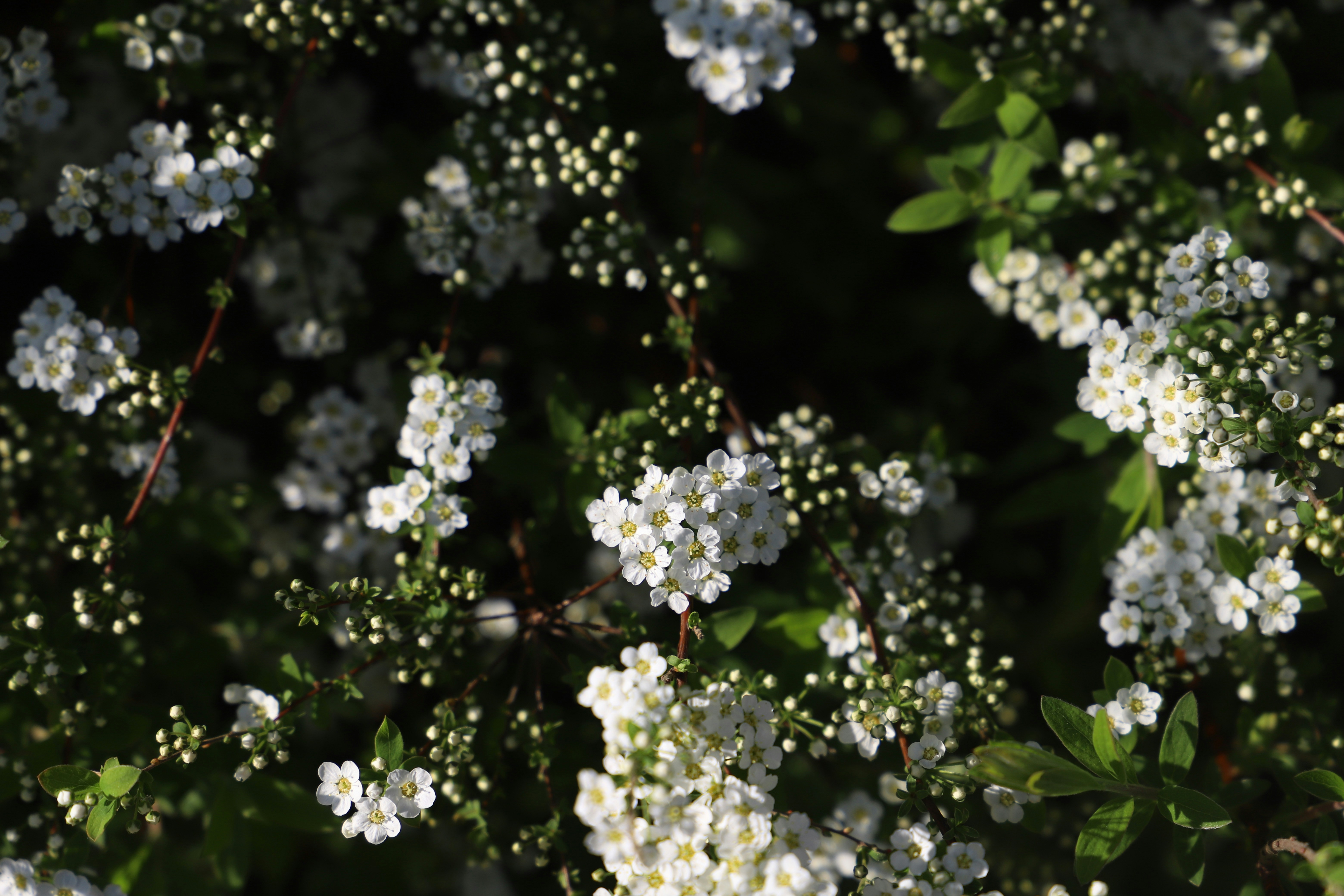 Photo by tourneskeud