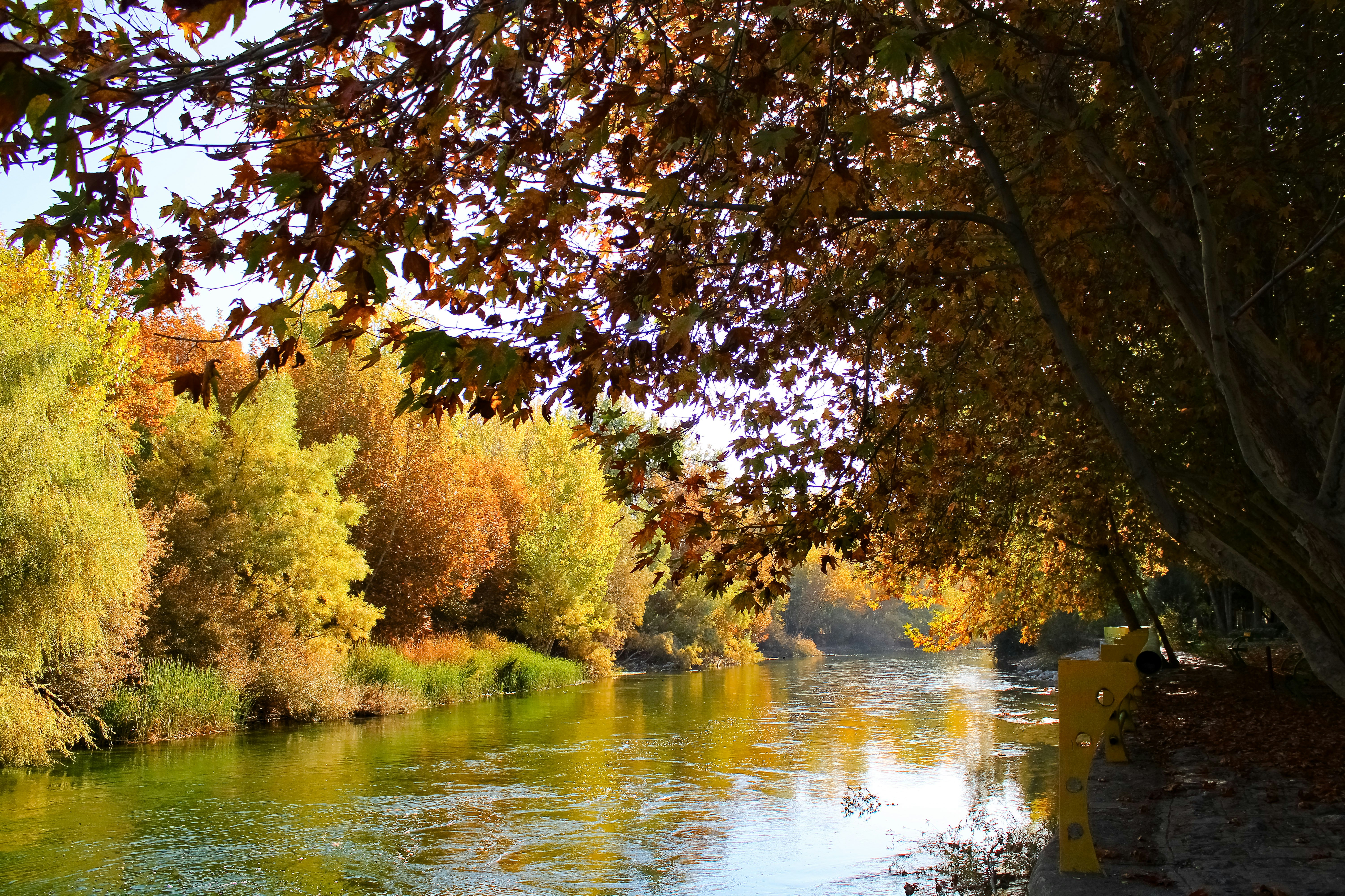 Photo by nouriehferdosian