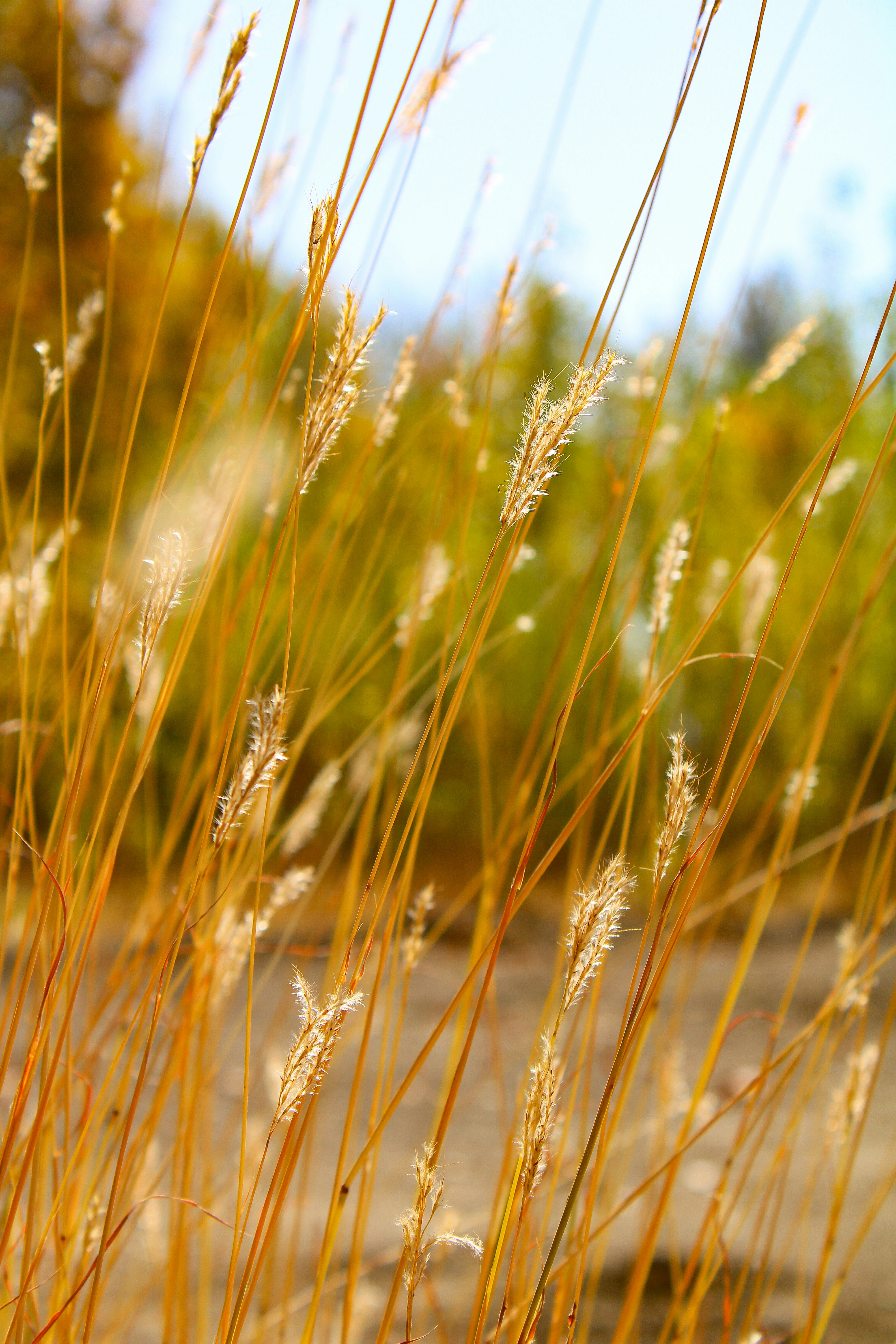 Photo by nouriehferdosian