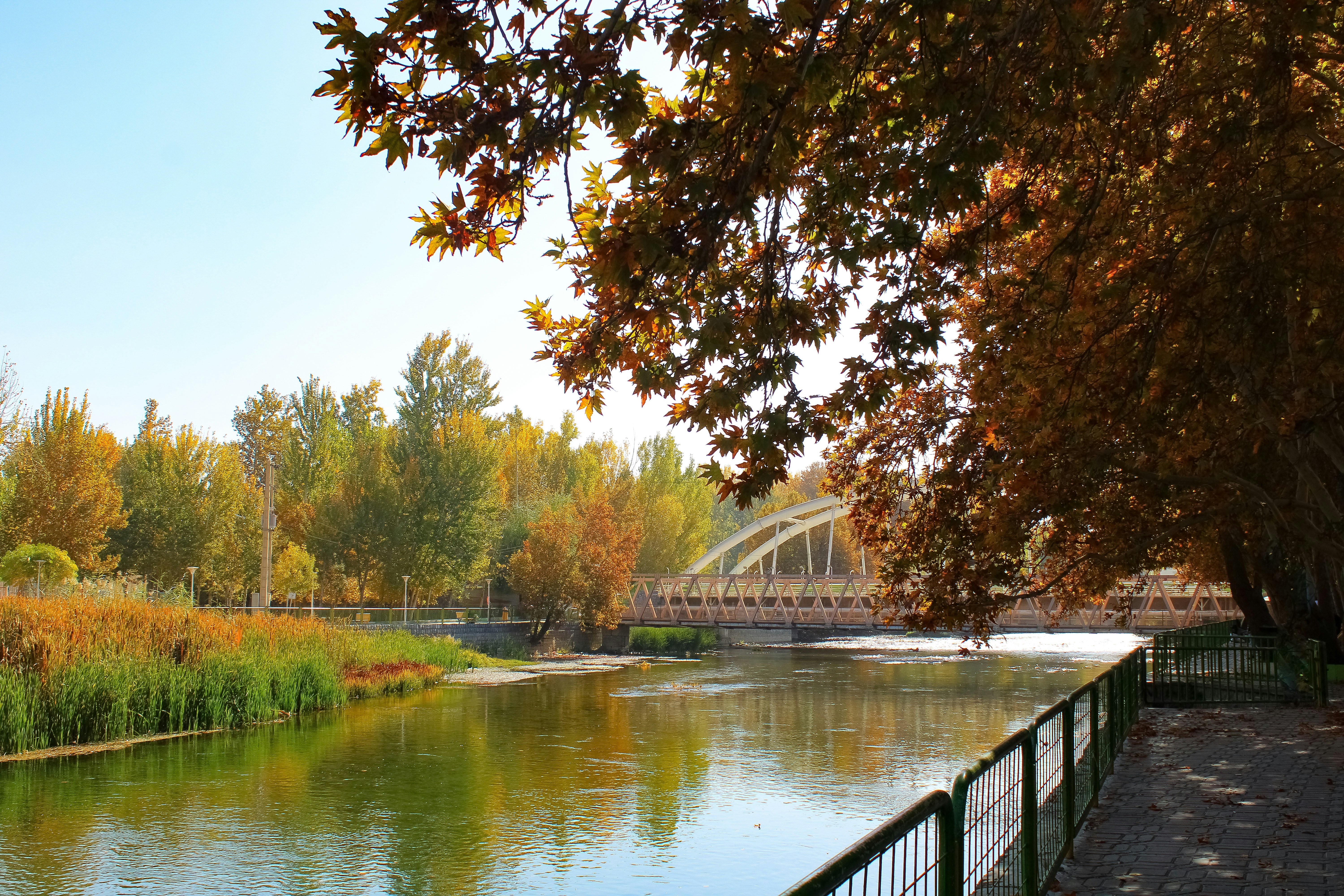 Photo by nouriehferdosian