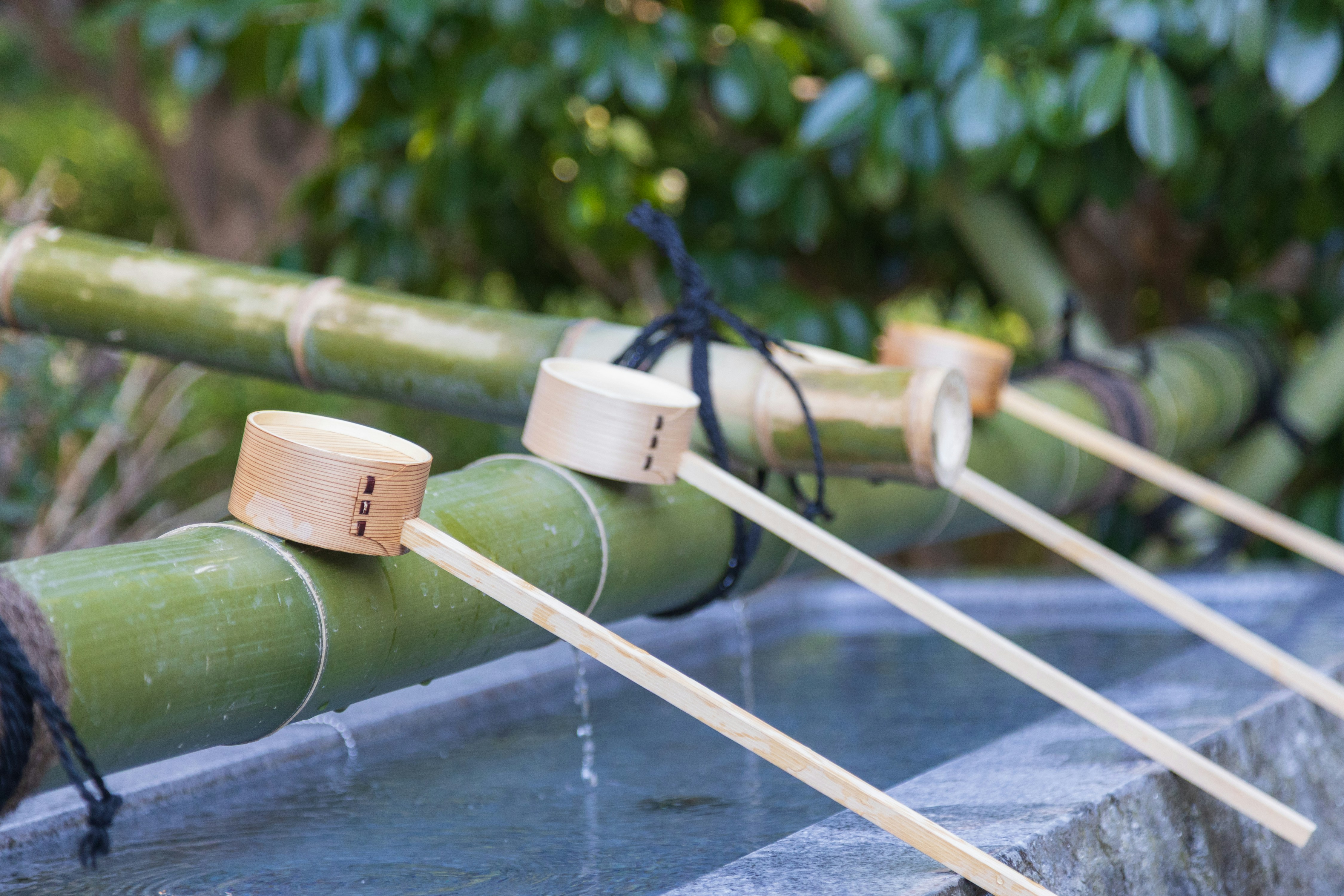 Mehrere Bambuslöffeln ruhen auf einer Bambusstab.