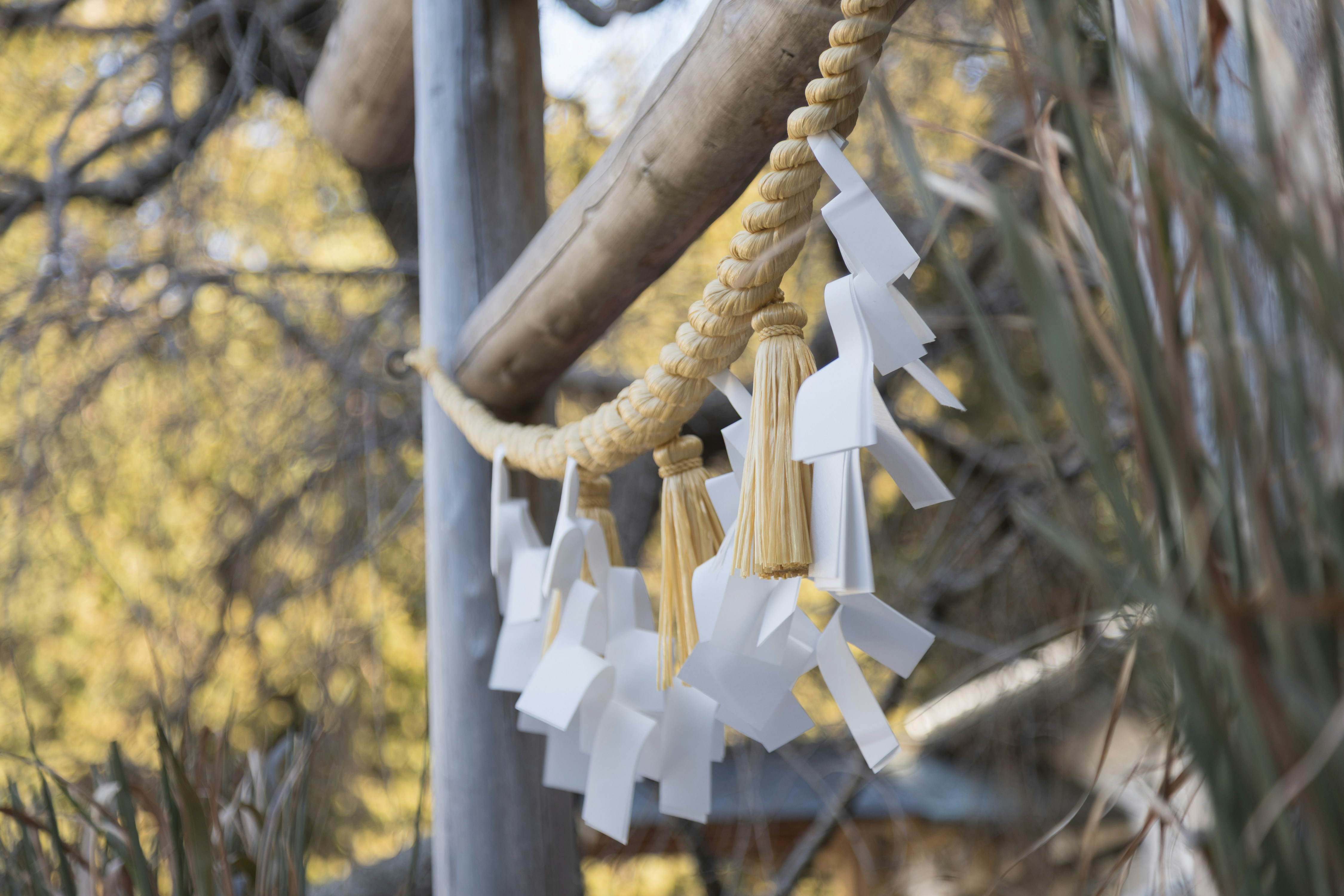 Shimenawa-Seil mit Papierbändern, die draußen hängen