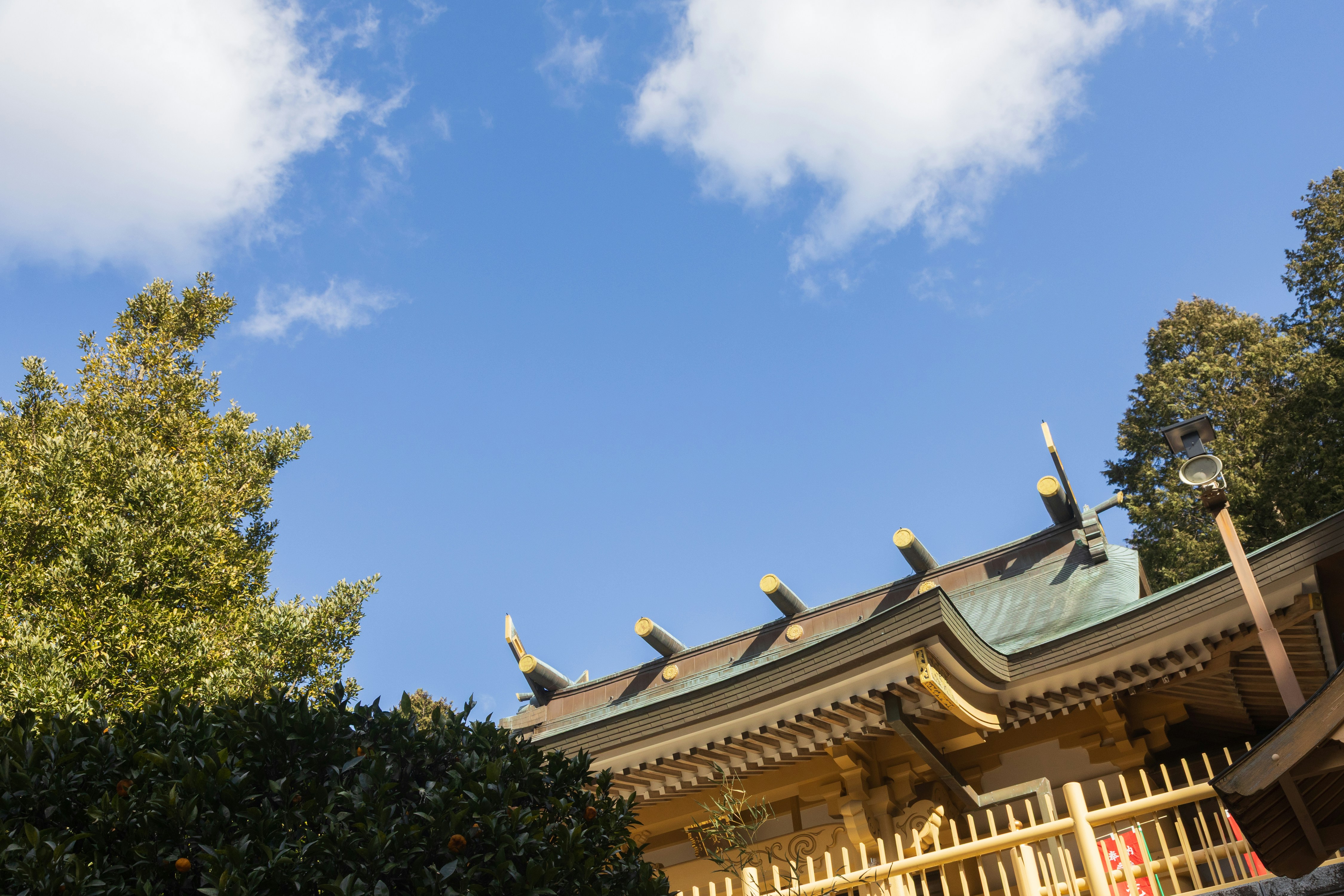 Photo by fujiitatsuhide