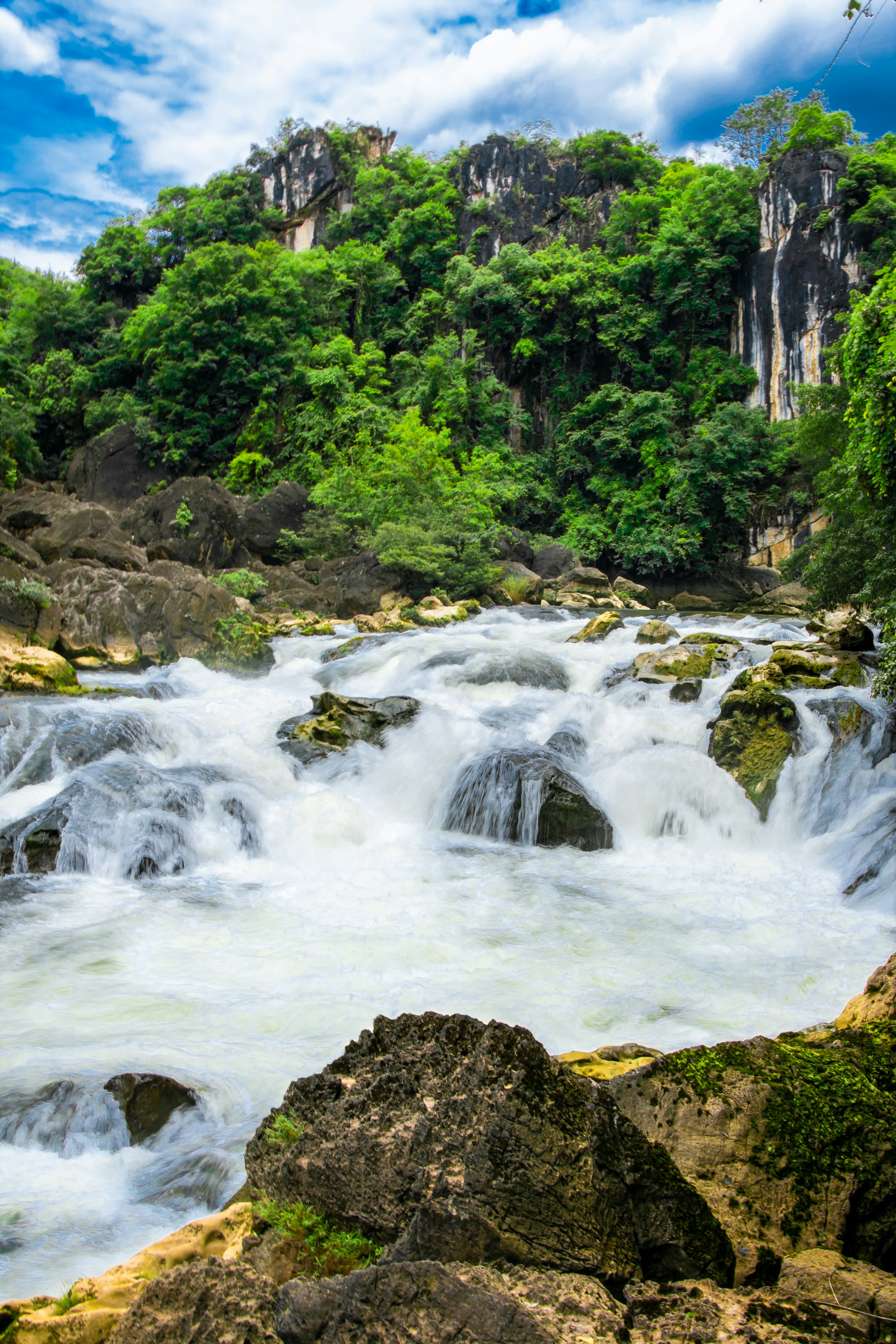 A powerful waterfall cascades over rocks in a lush forest.