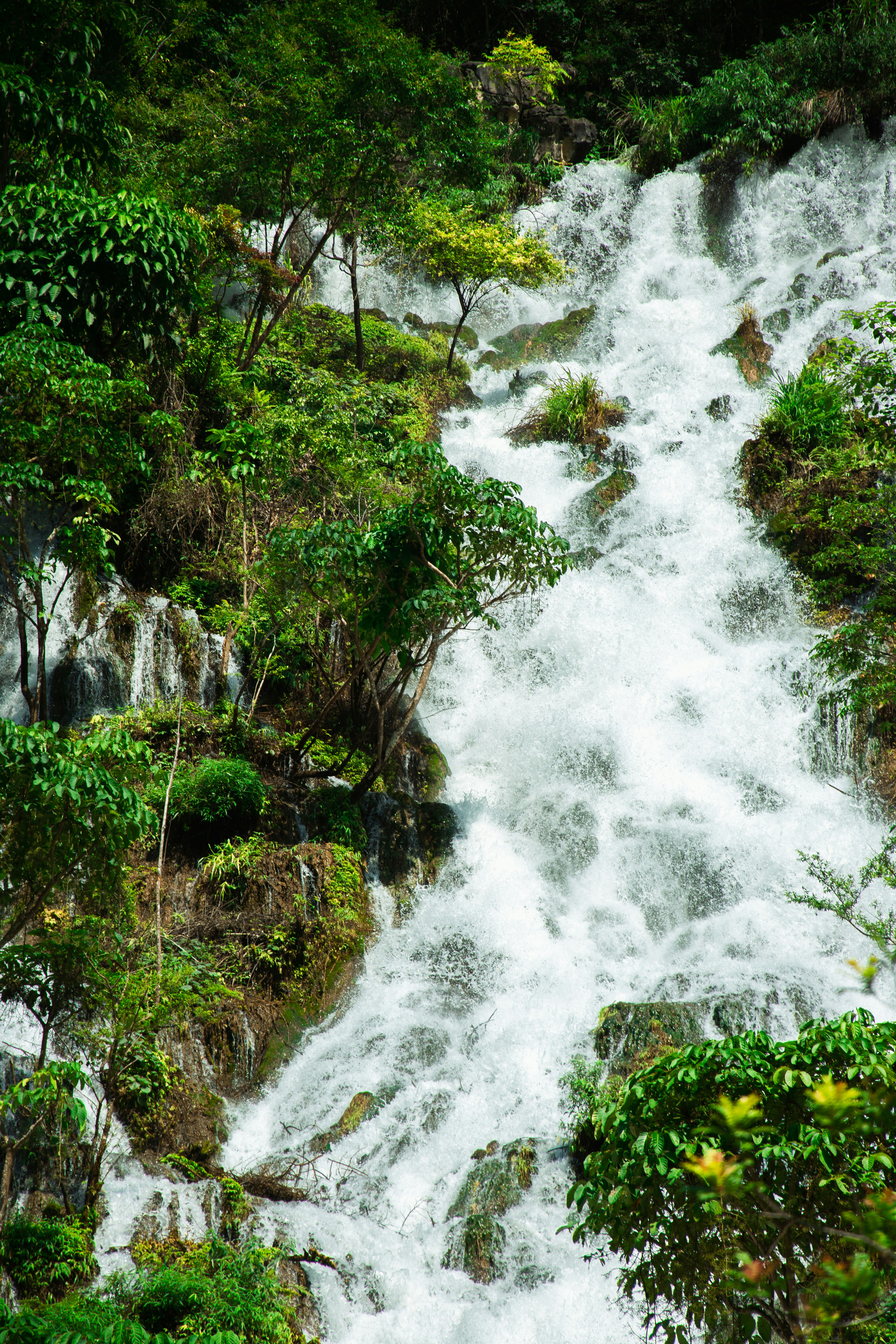 A lush green waterfall cascades down rocks.