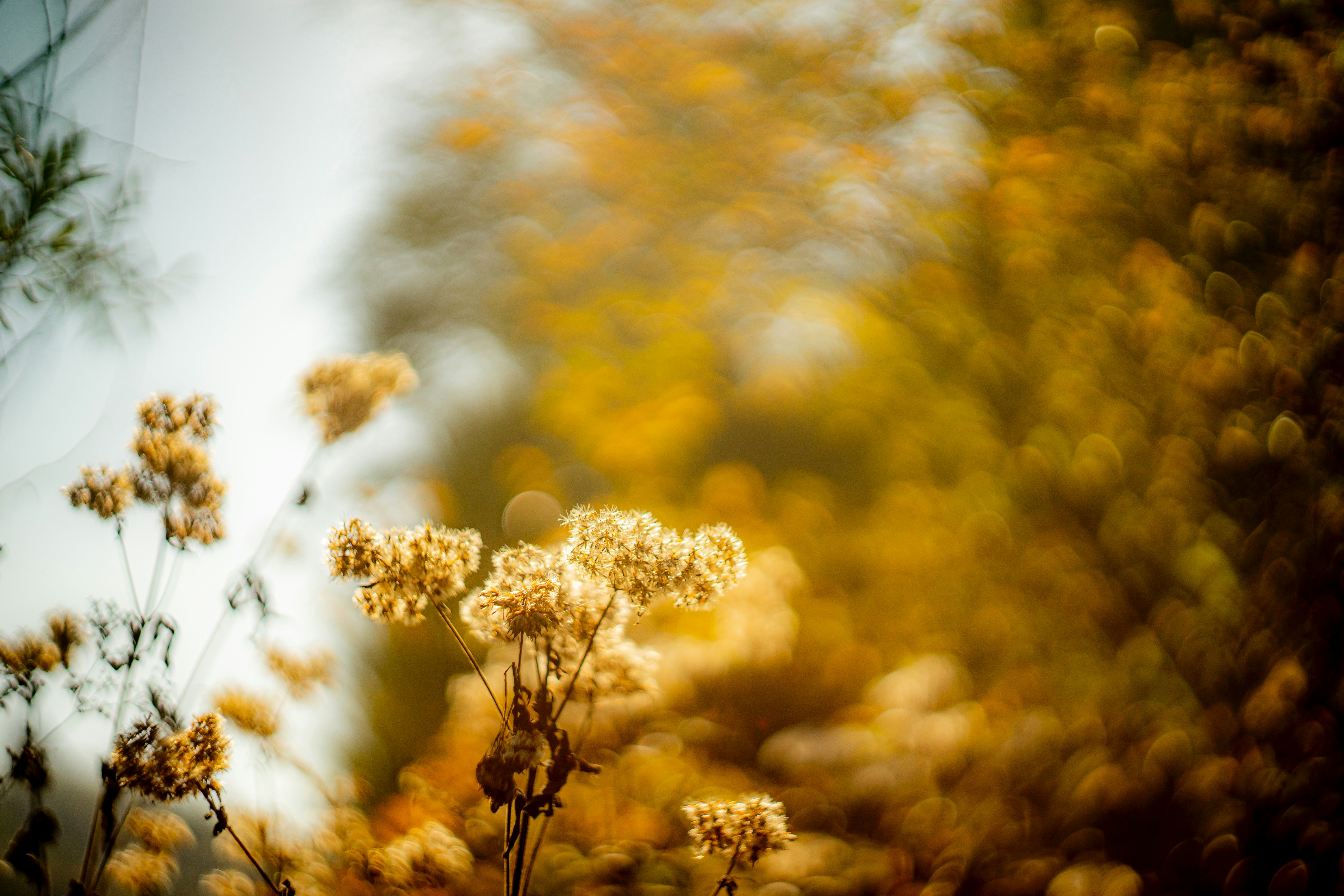 Photo by wndrlst_pctrs