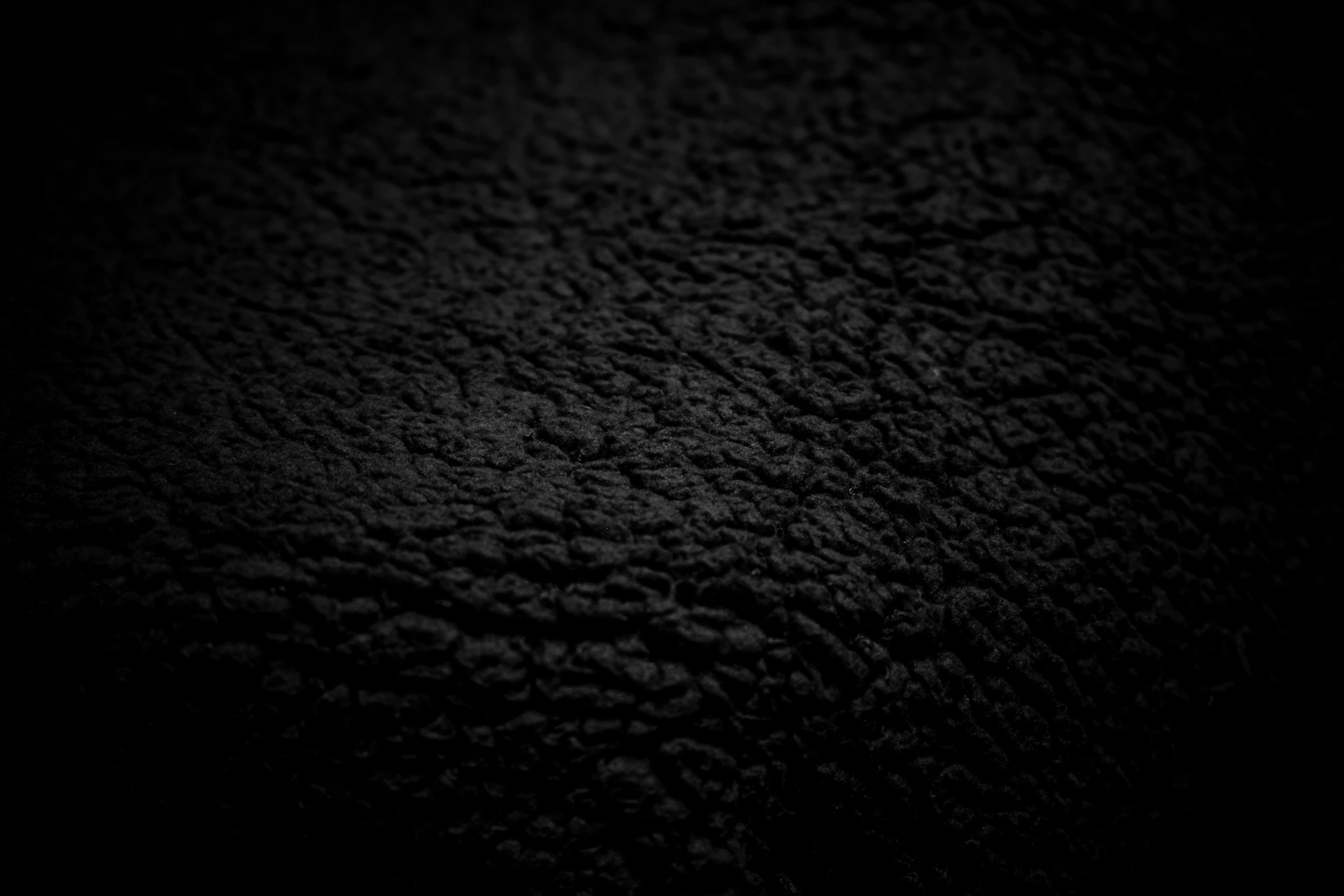 Close-up texture of a dark, fuzzy material.