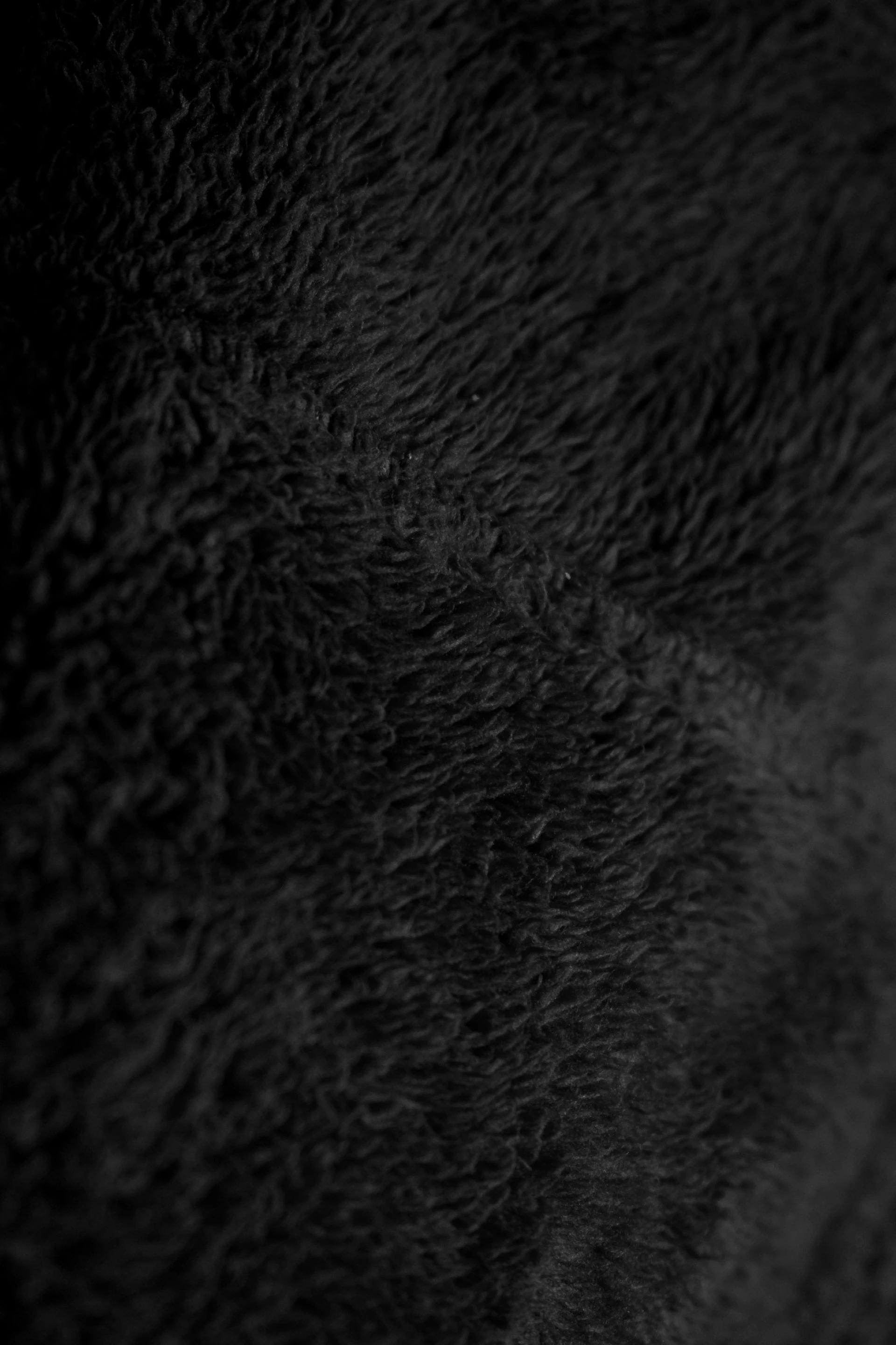 Close up of a black fuzzy texture