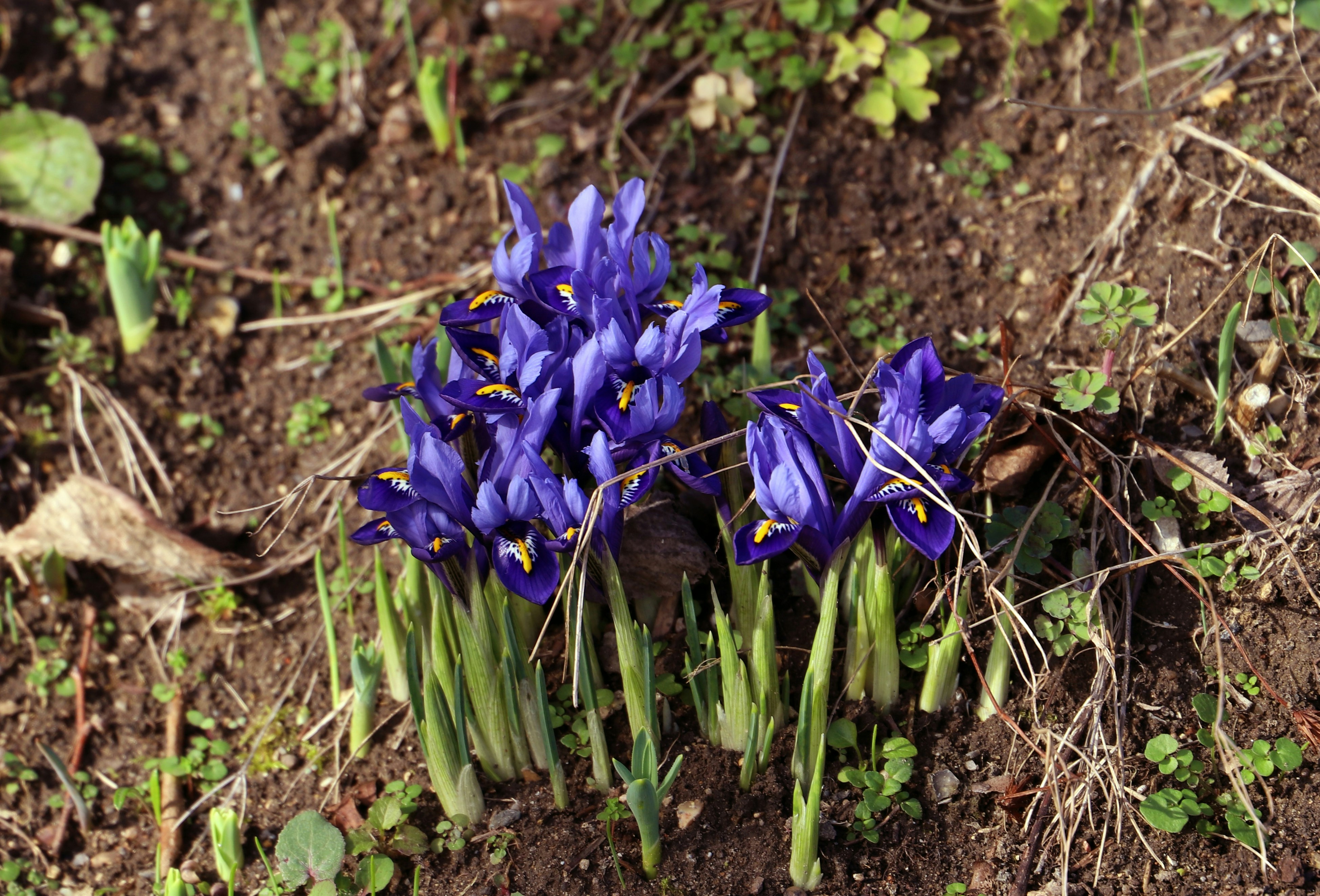 Photo by tourneskeud