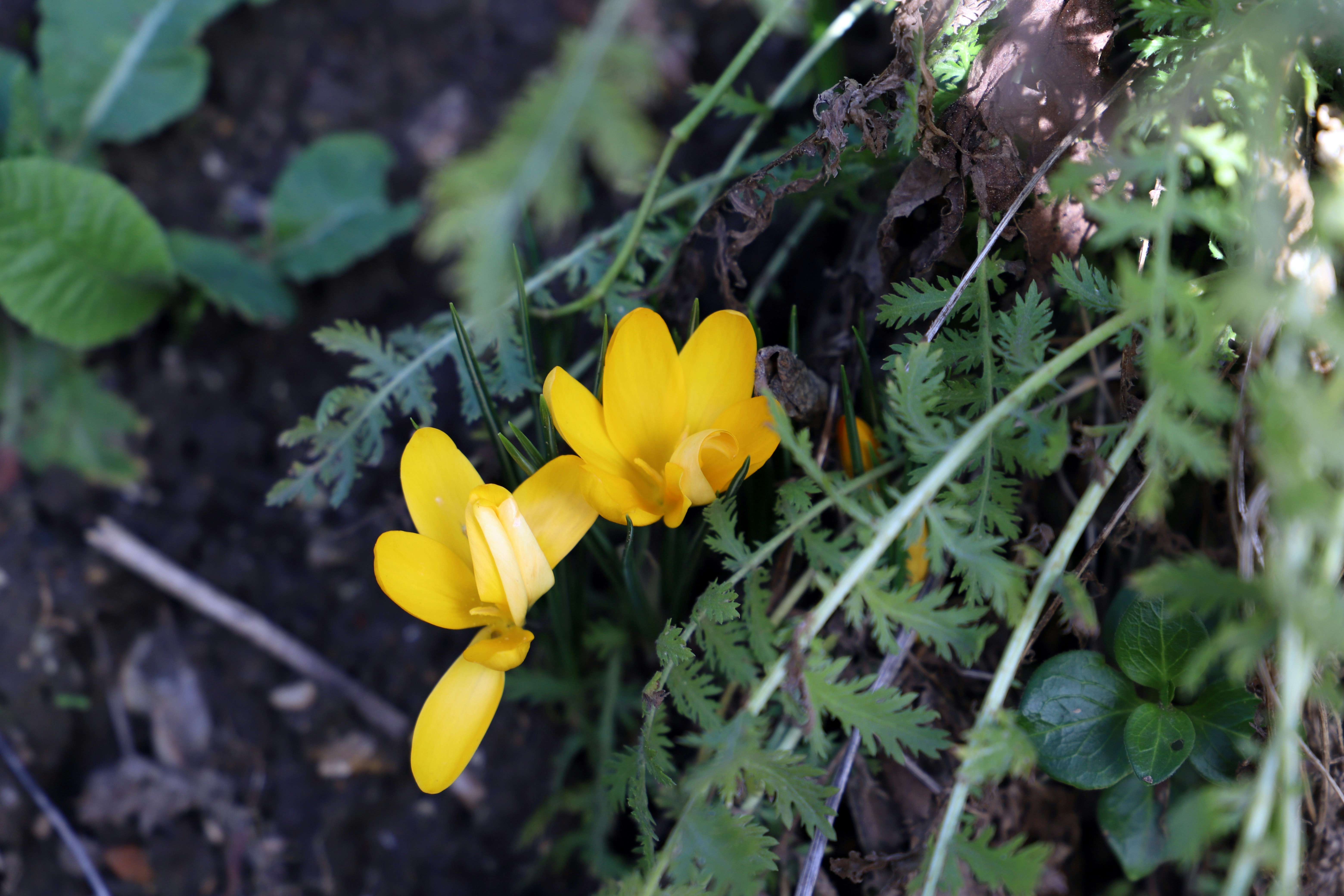 Photo by tourneskeud