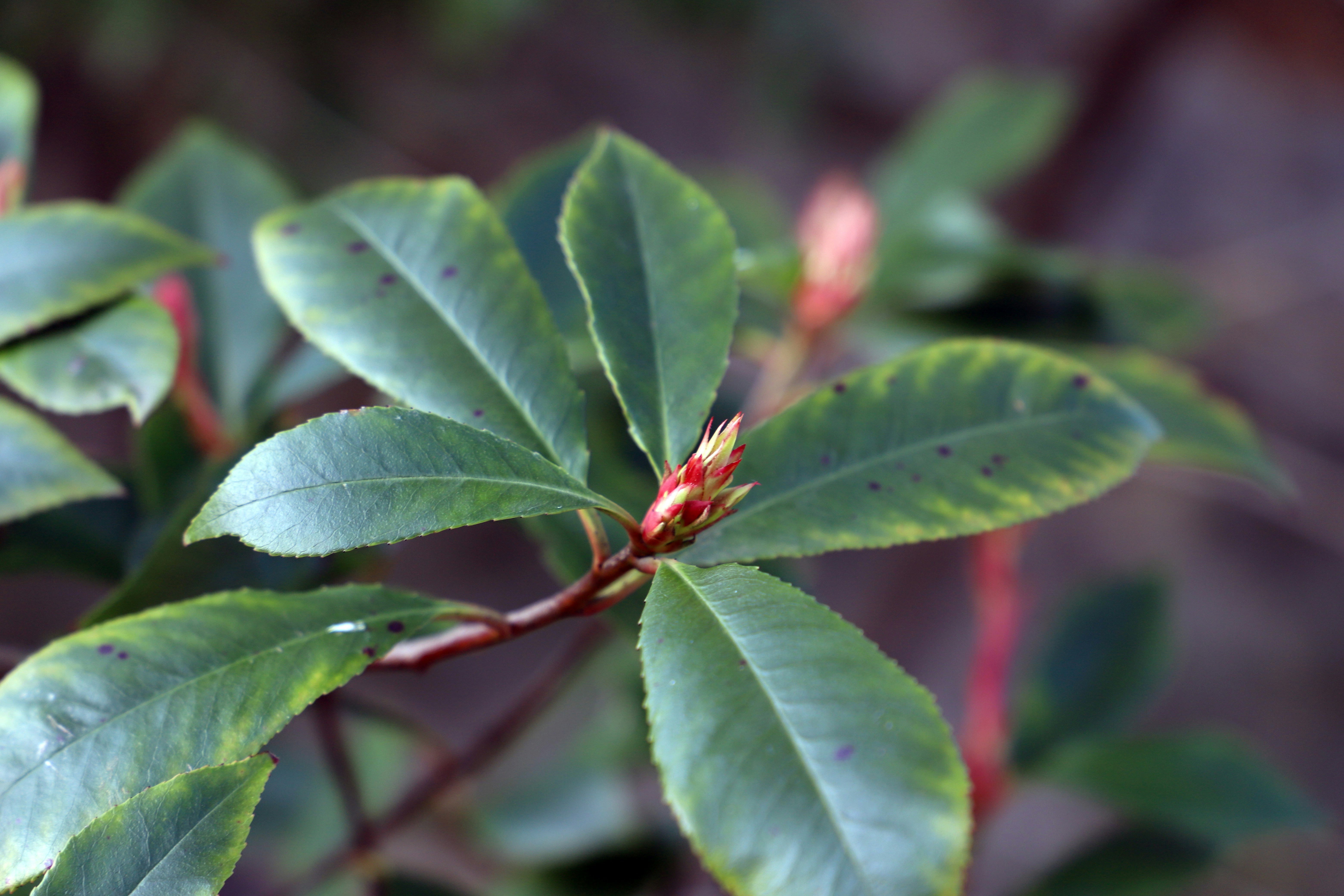 Photo by tourneskeud