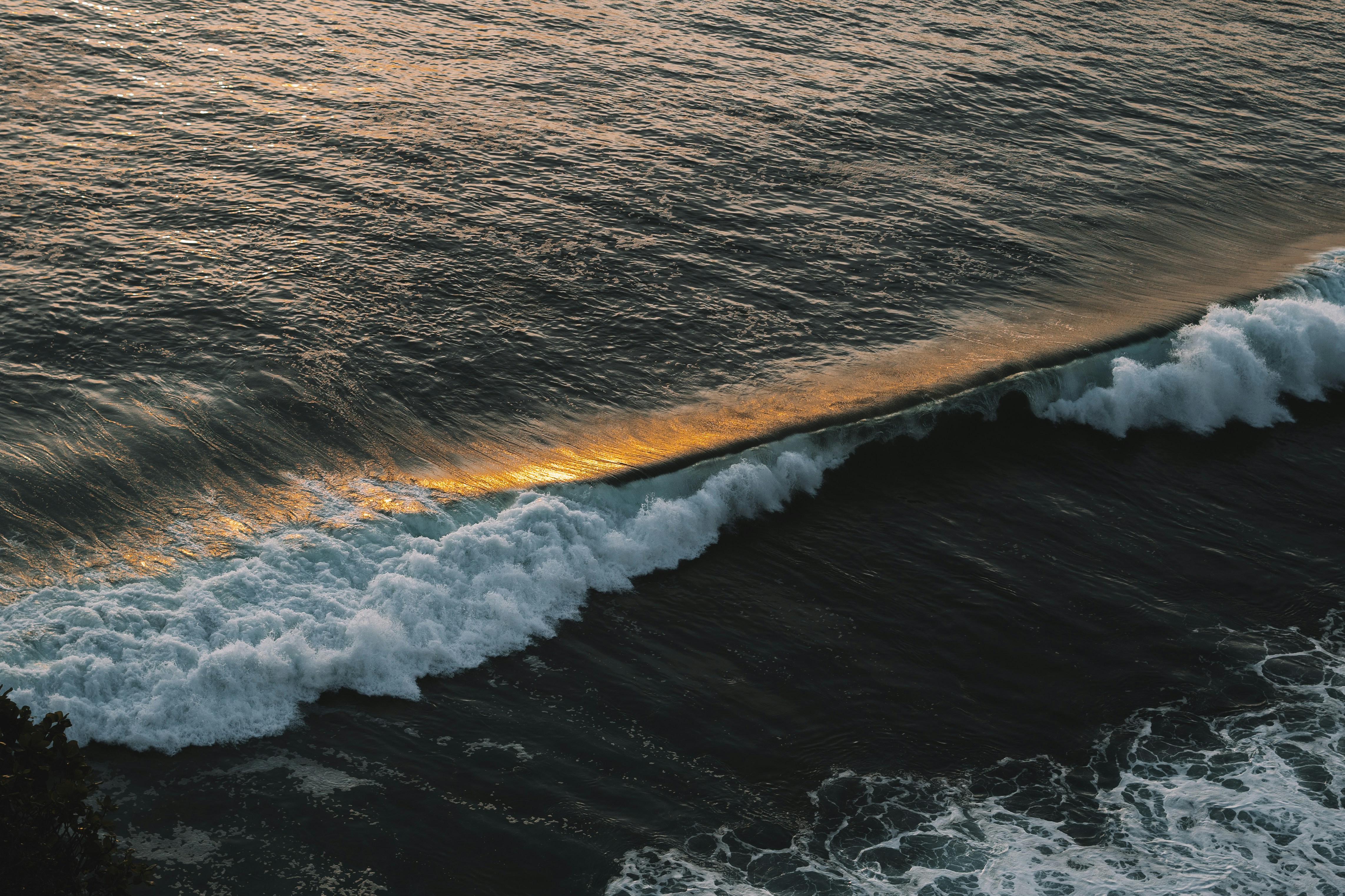 Photo by p_kuzovkova