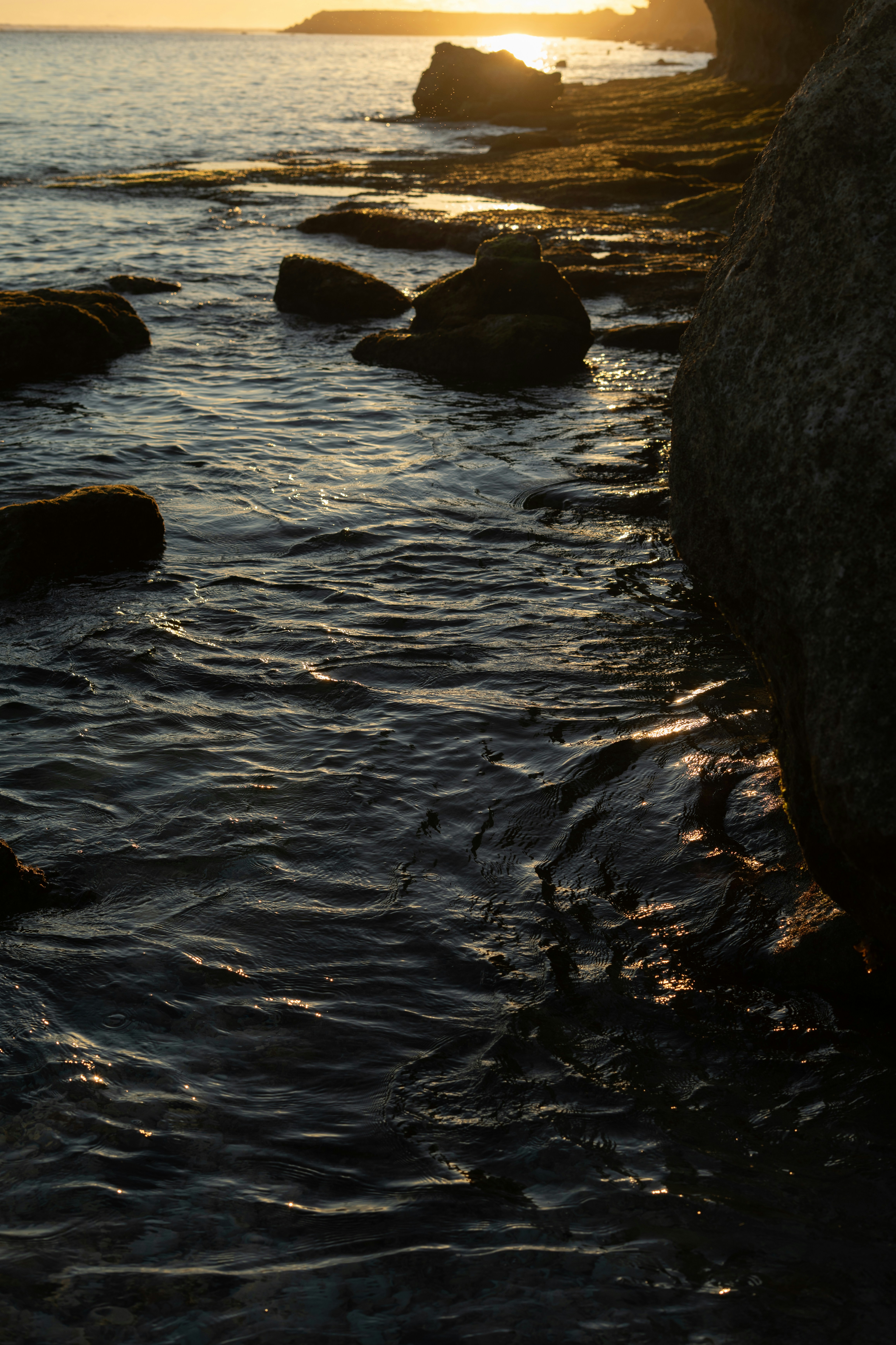 Photo by p_kuzovkova