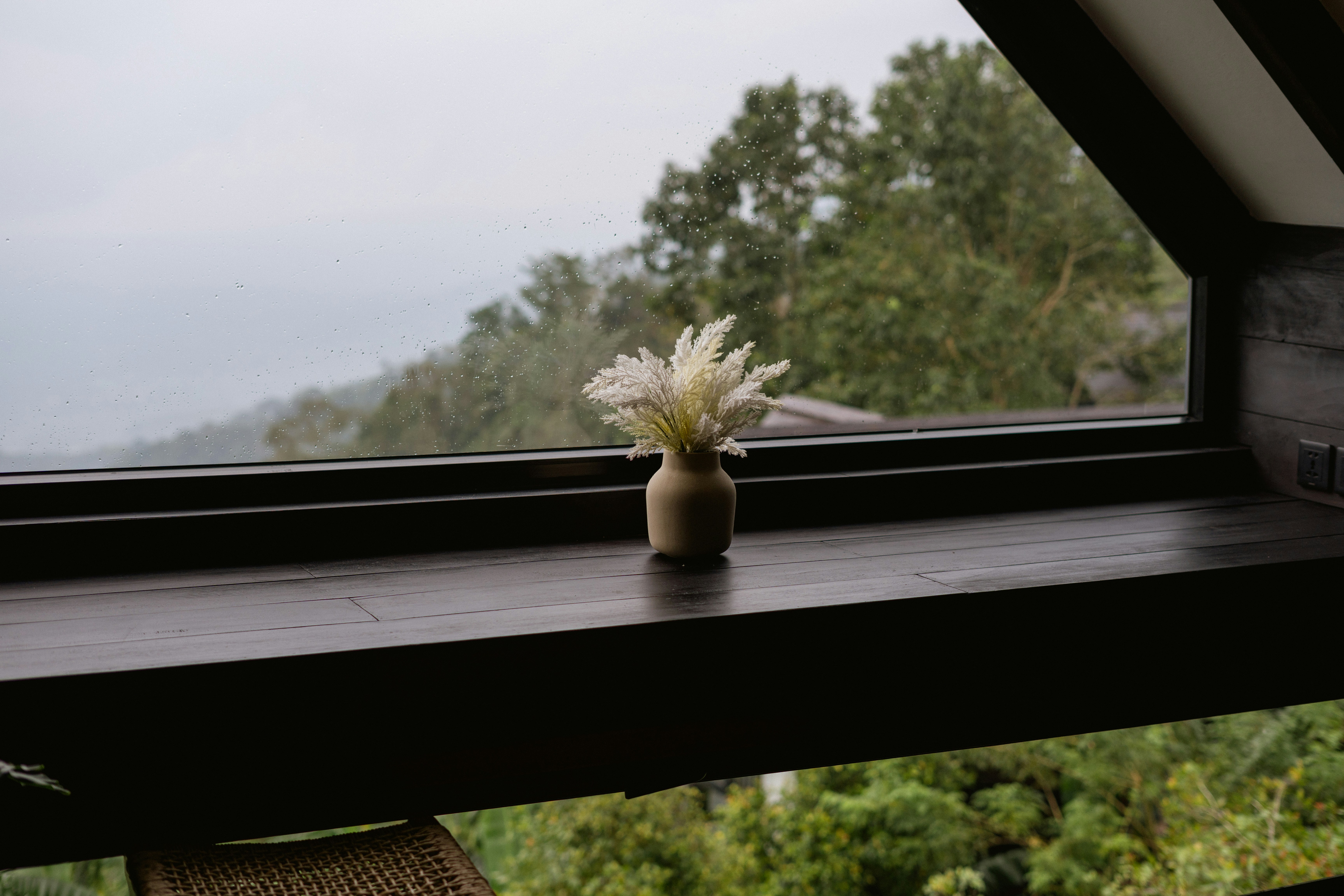 Pequeno vaso com flores secas em um parapeito de janela com vista para árvores.
