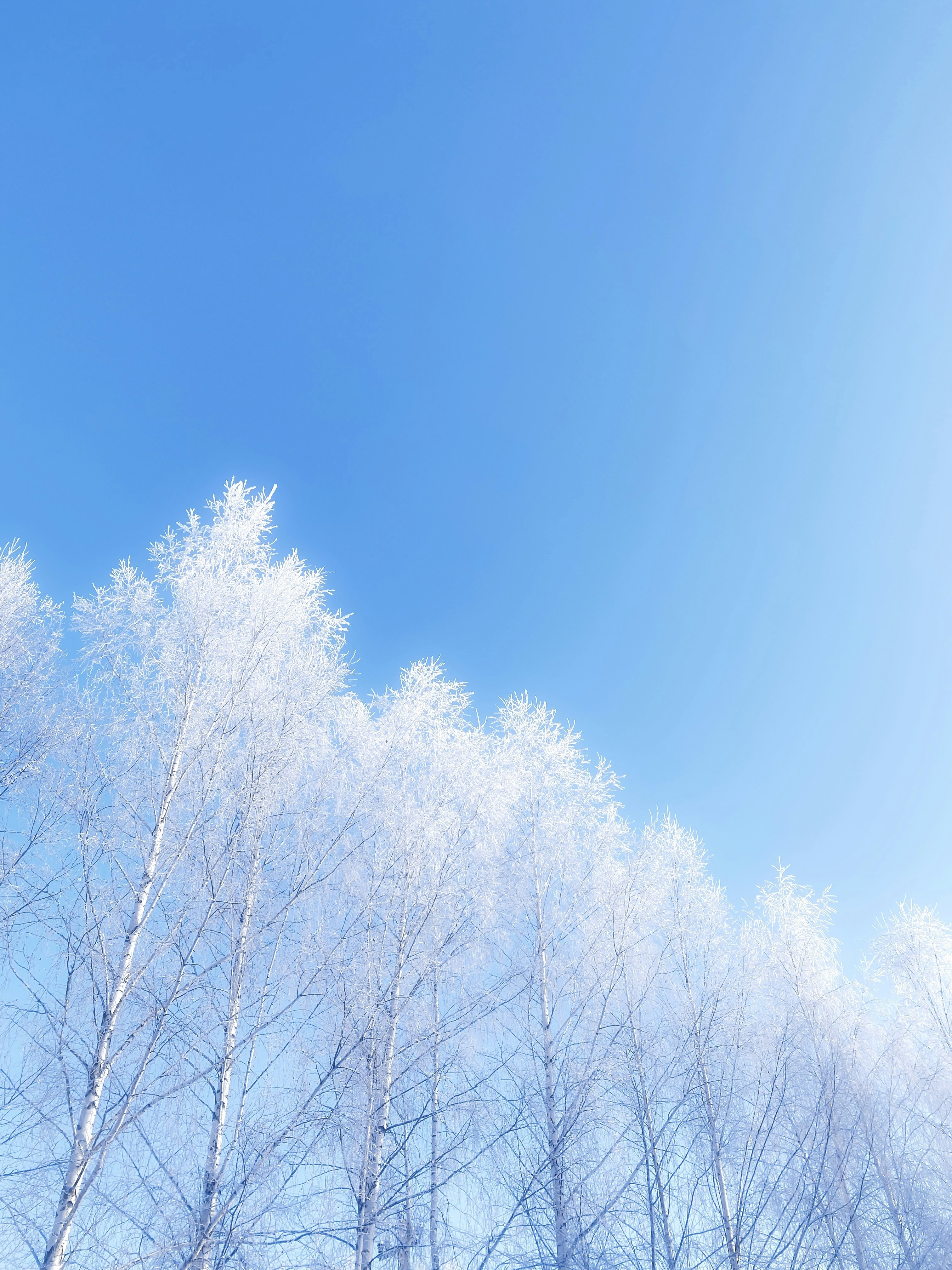 Photo by eugene_golovesov