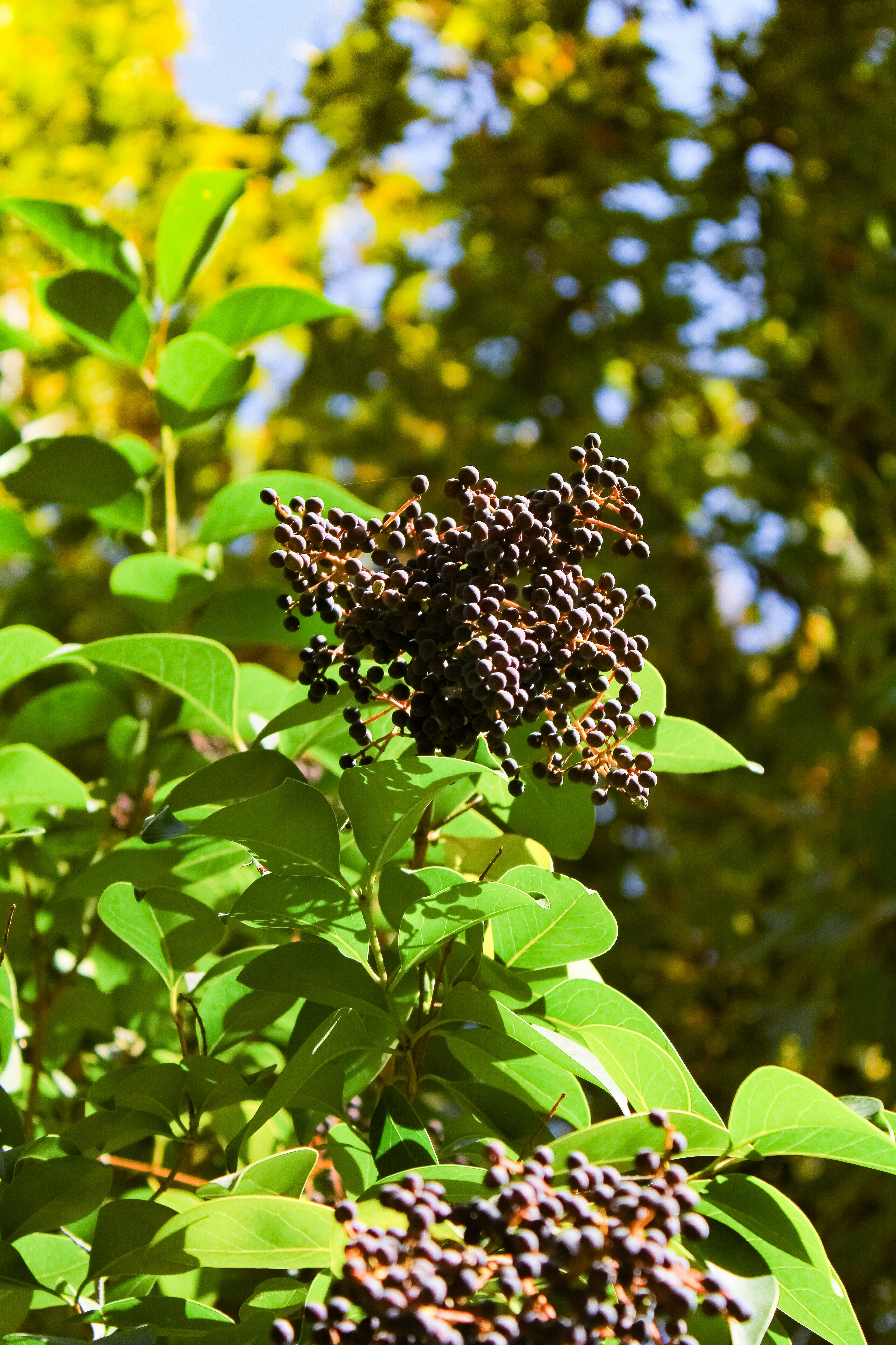 Photo by nouriehferdosian