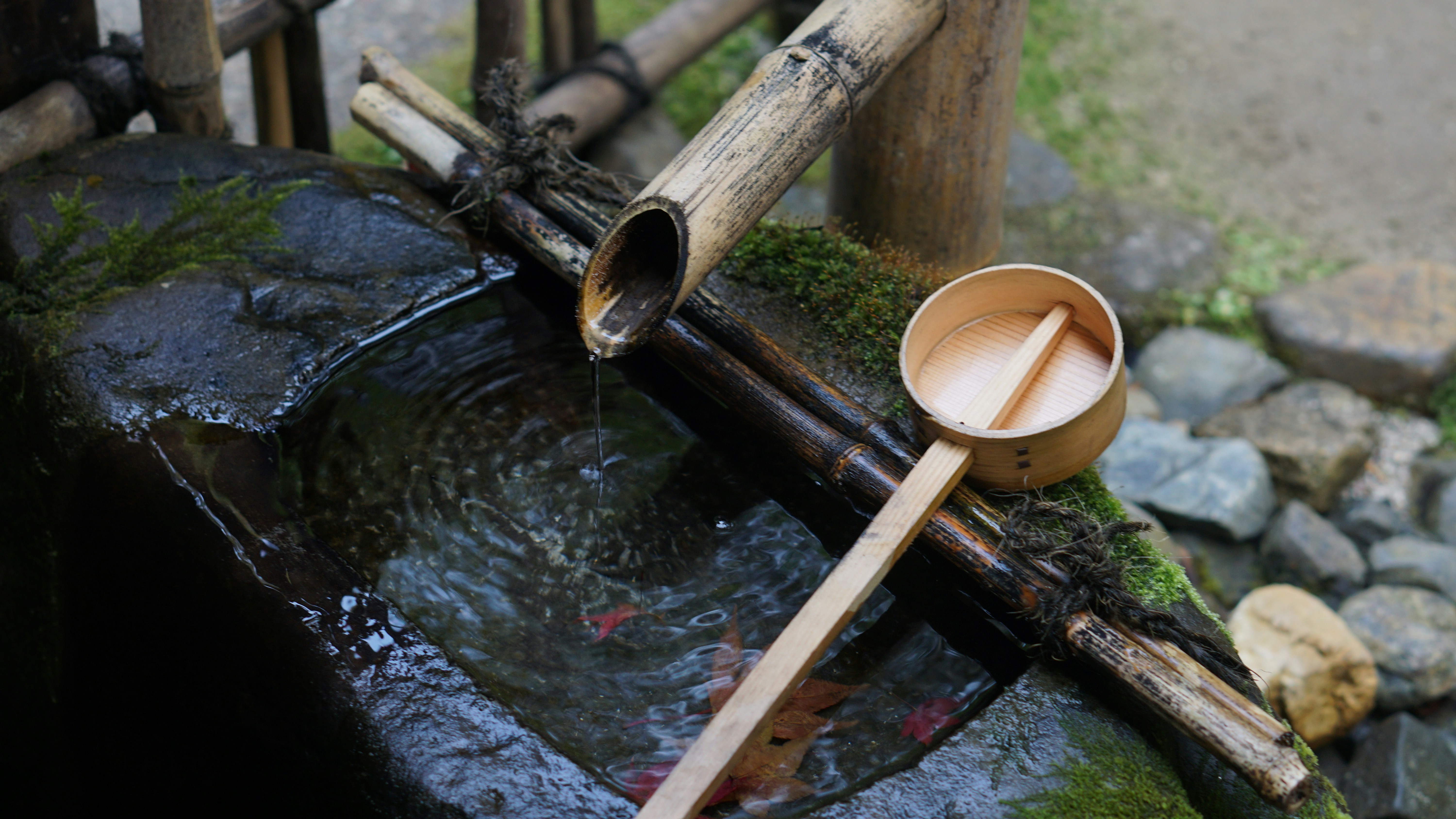 Water flows from bamboo into a stone basin