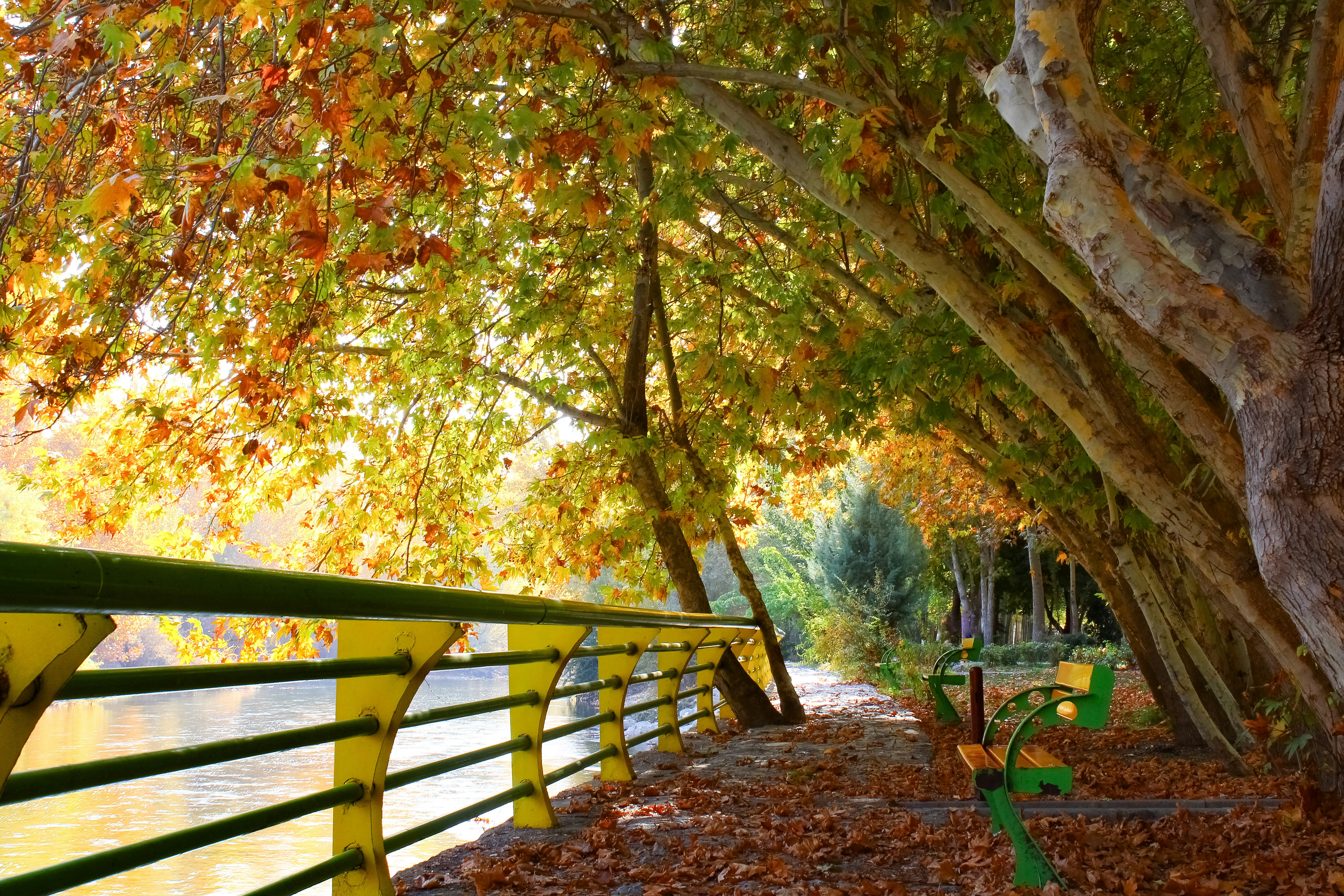 Photo by nouriehferdosian