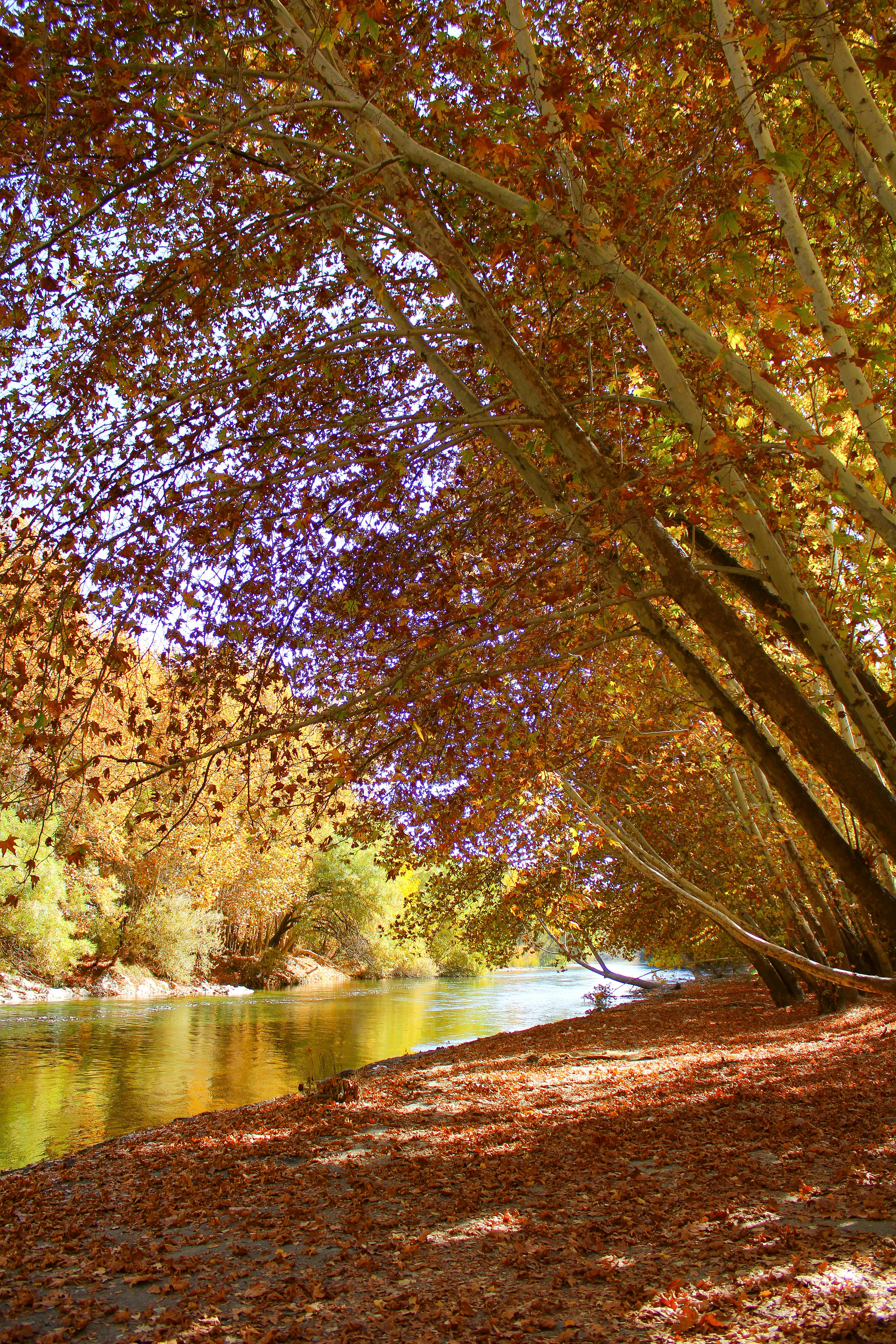 Photo by nouriehferdosian