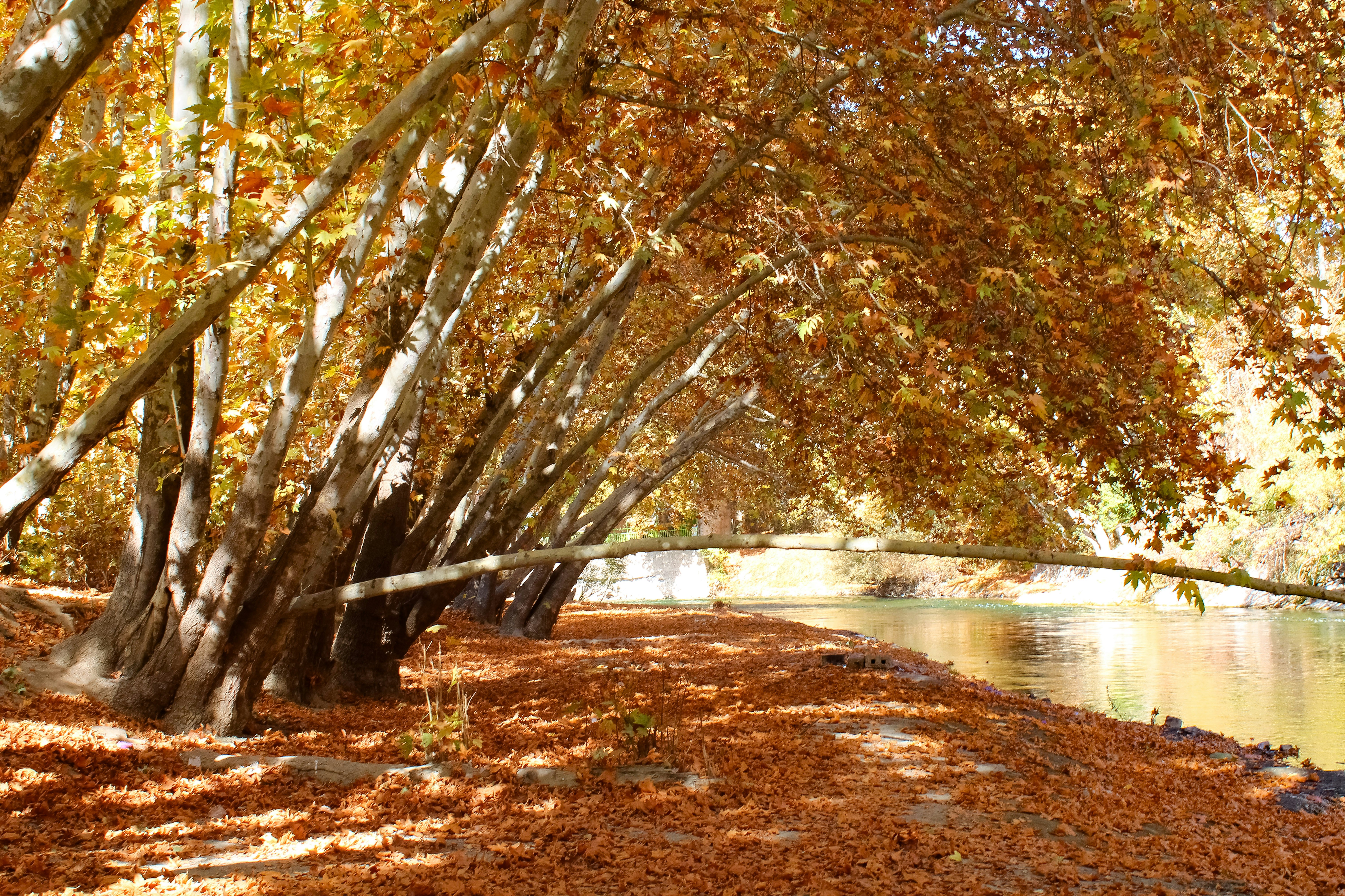 Photo by nouriehferdosian